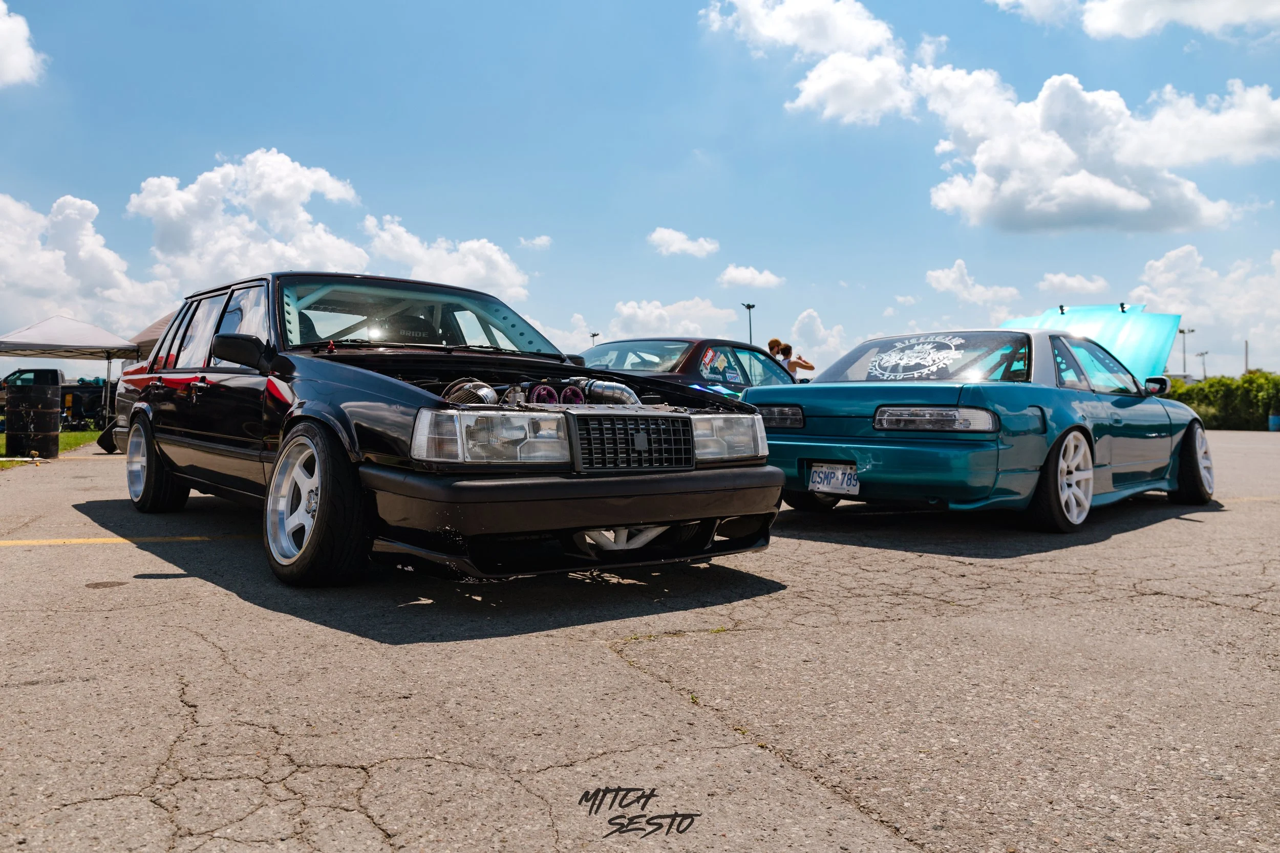IMG_4784.jpg