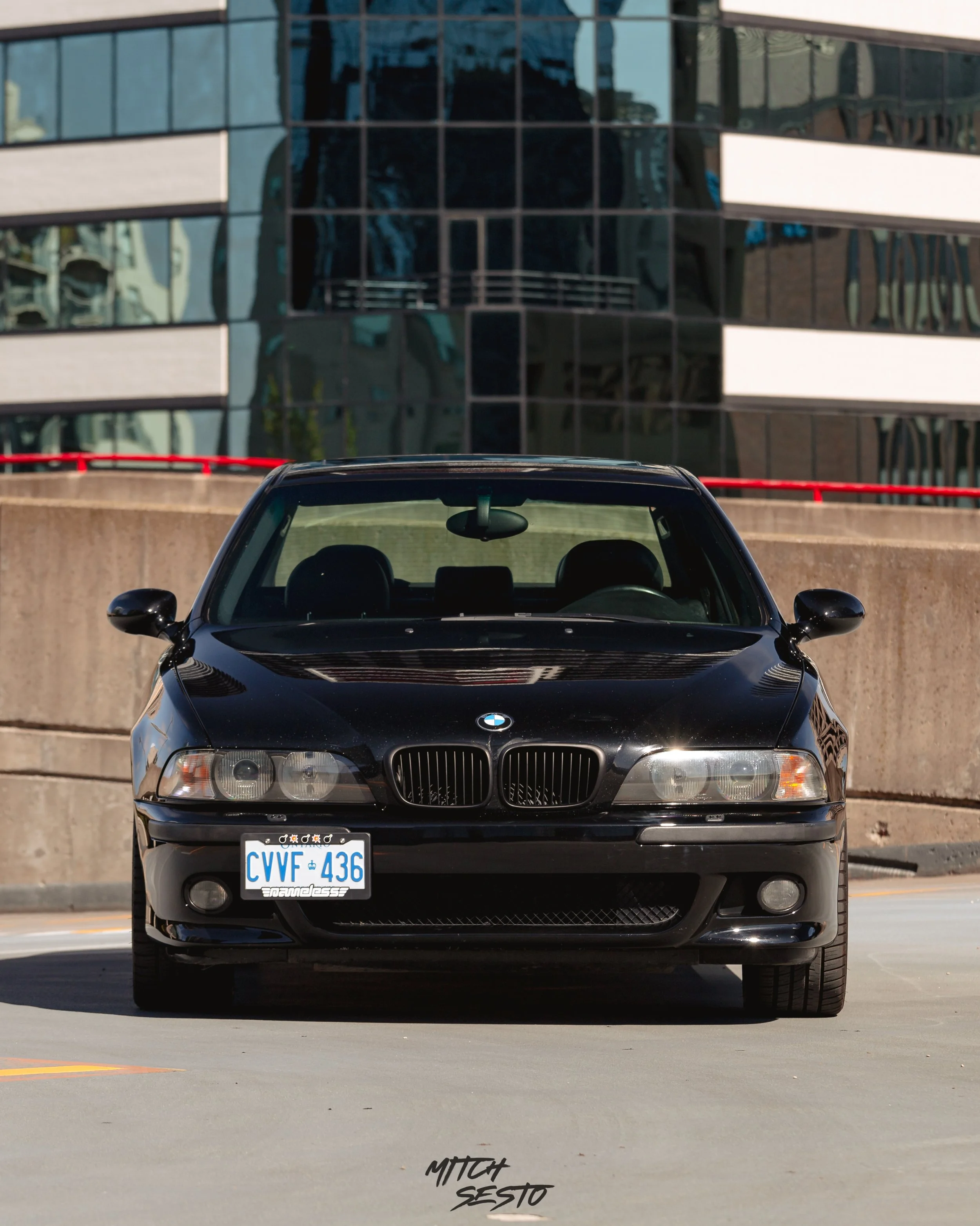 IMG_9613-2 copy.jpg