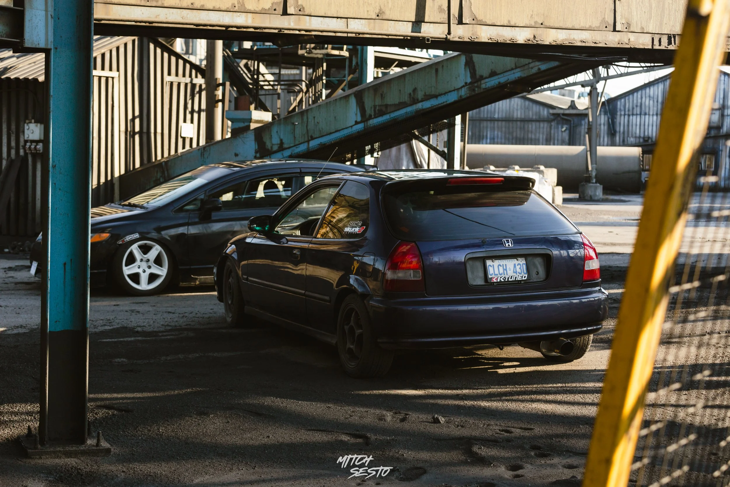 IMG_5339.jpg