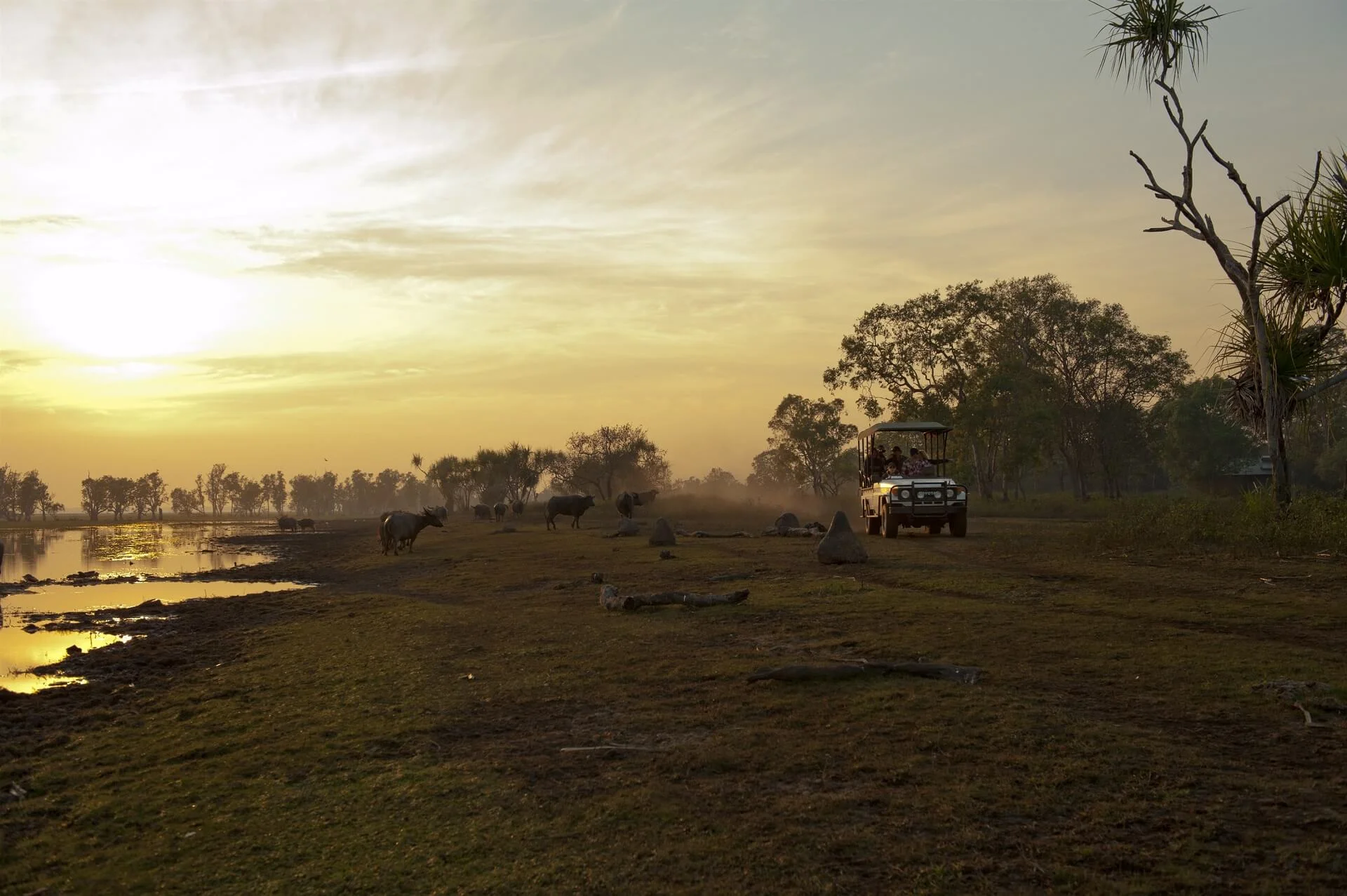 Safari-Drive-Tourism-Northern-Territory (1).jpg