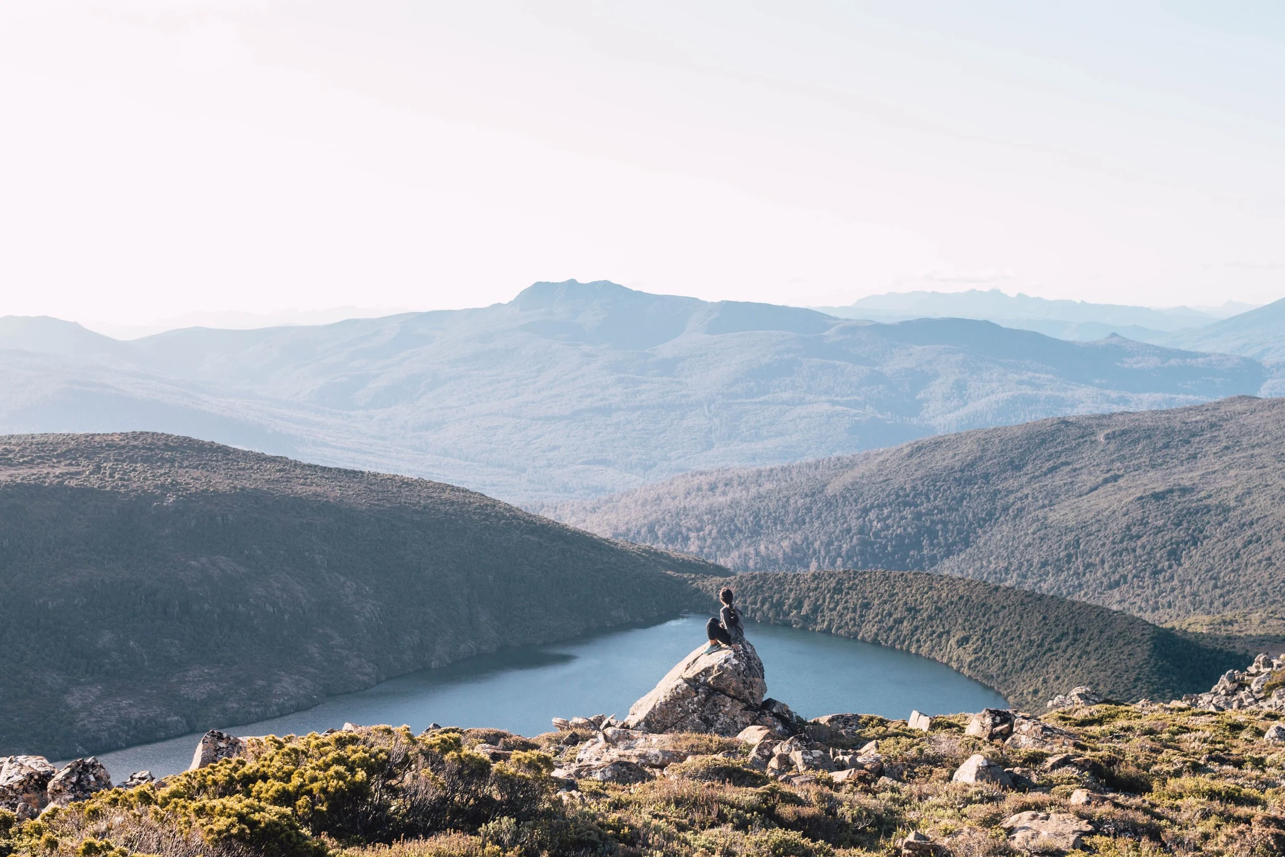 Tasmania Hidden Lake Cradle Mountain.jpg
