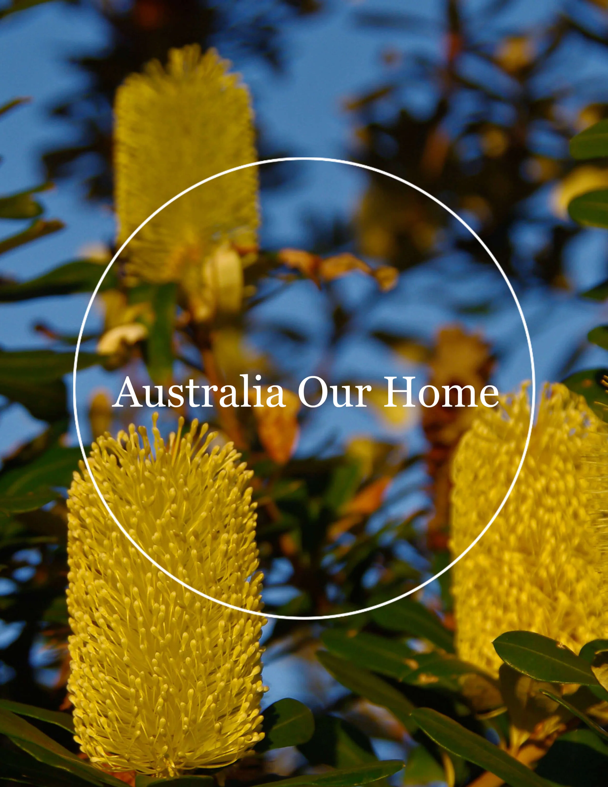 australia-our-home.jpg