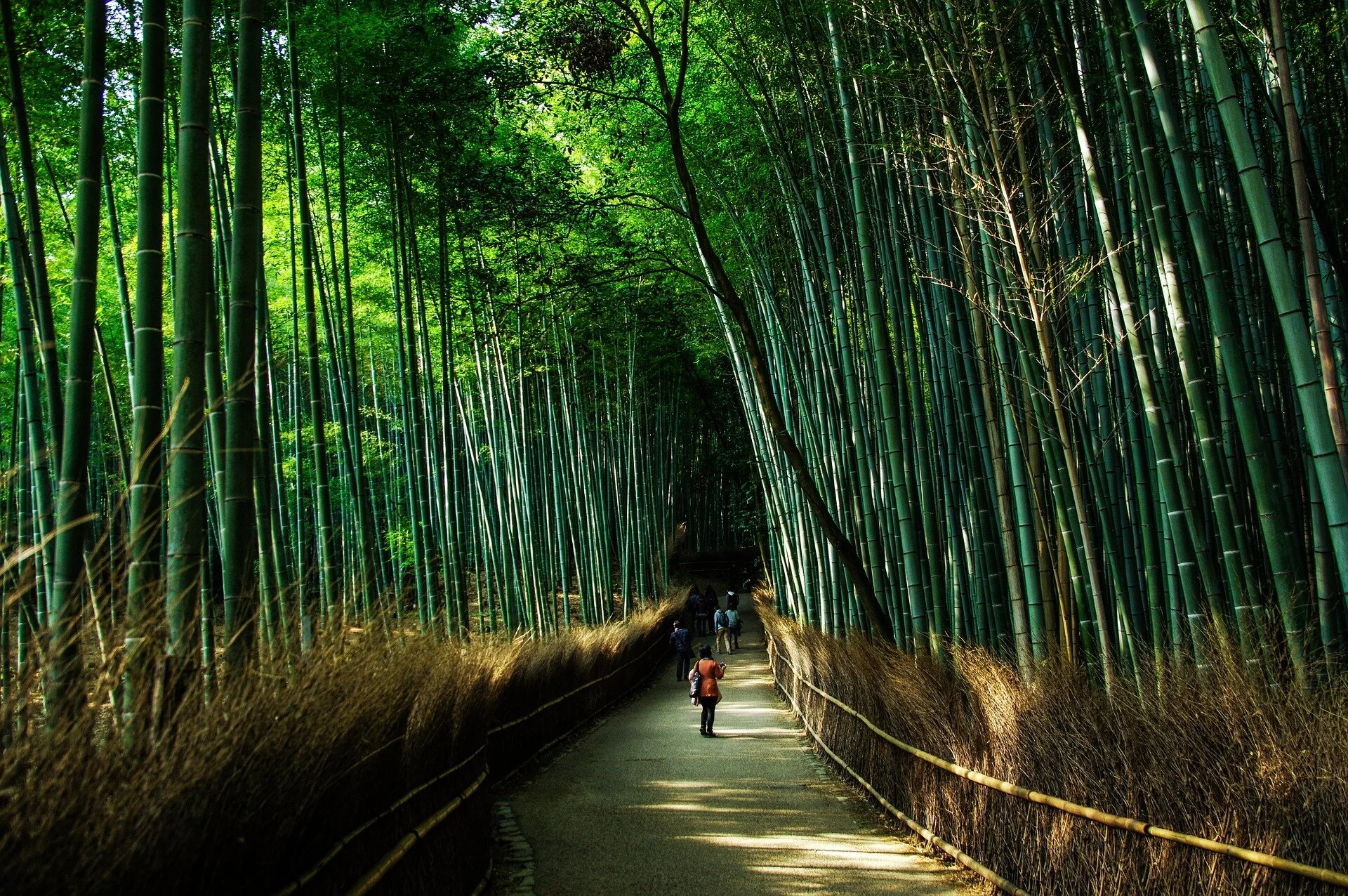 Nakasendo Way