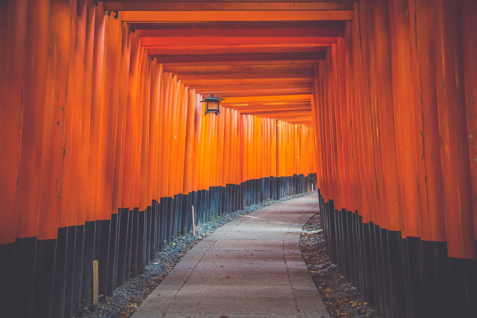 japan-millenials-kyoto-gates.jpg