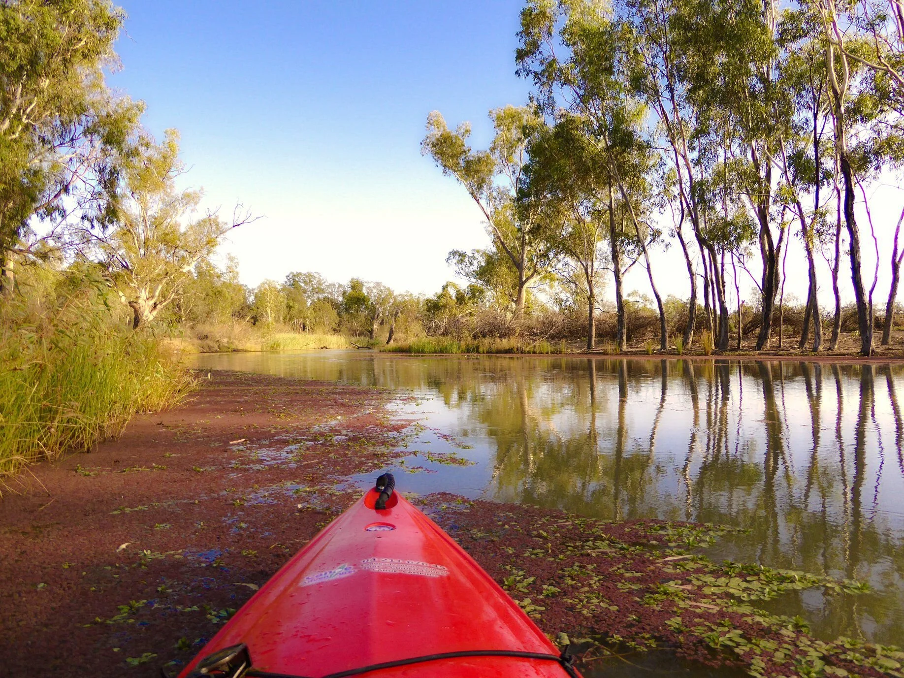 Guided canoe trip.jpg