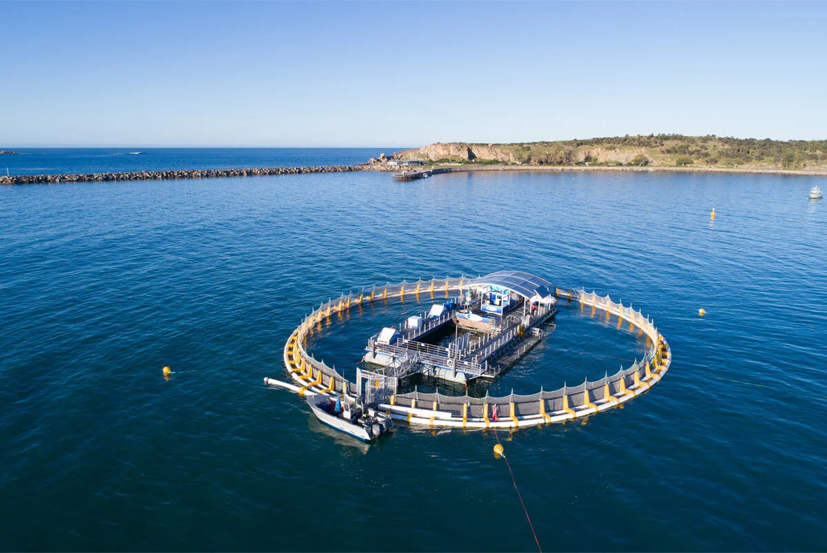 ocean aquariam tour 2.jpg