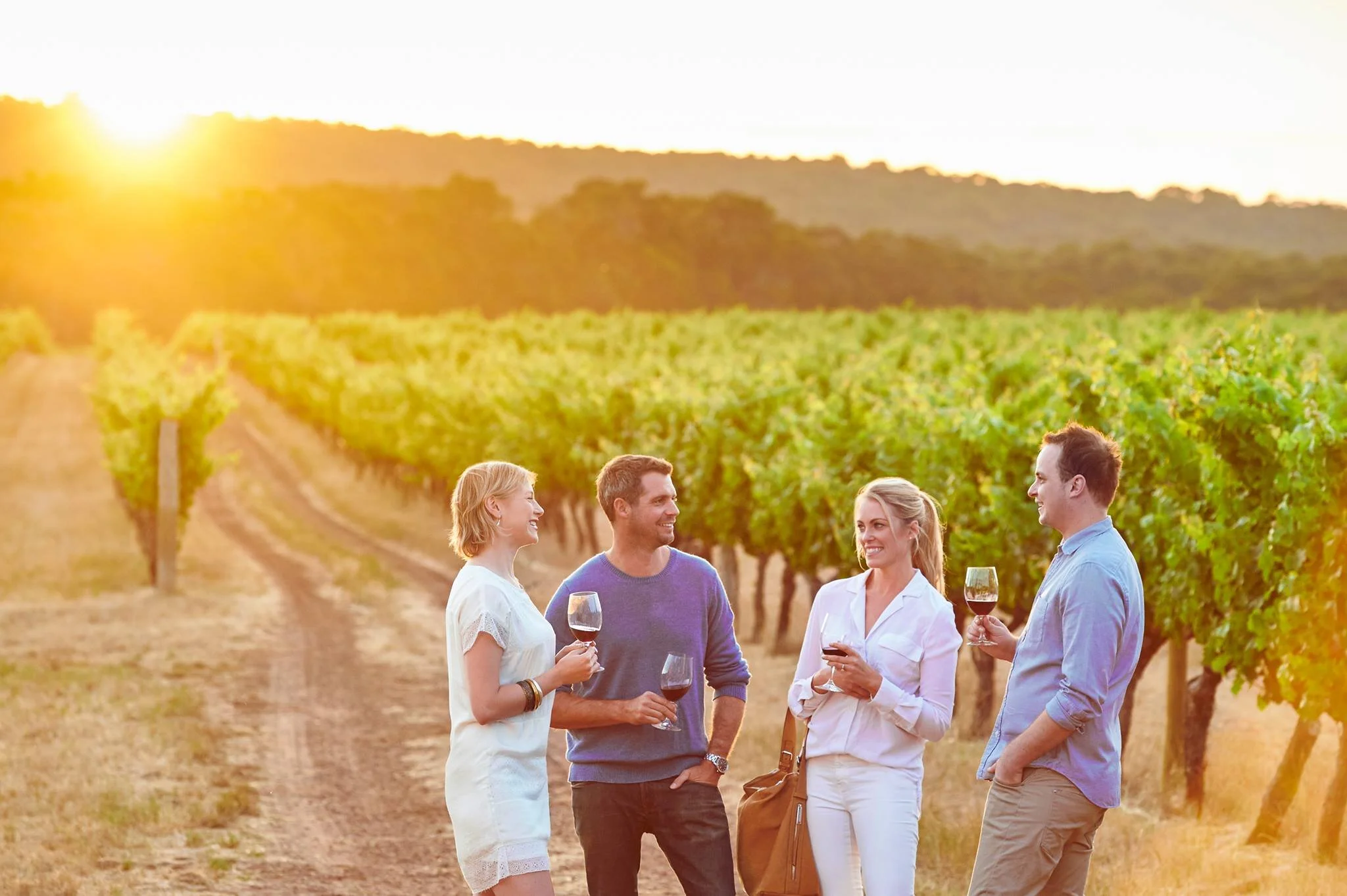 vineyard.jpg