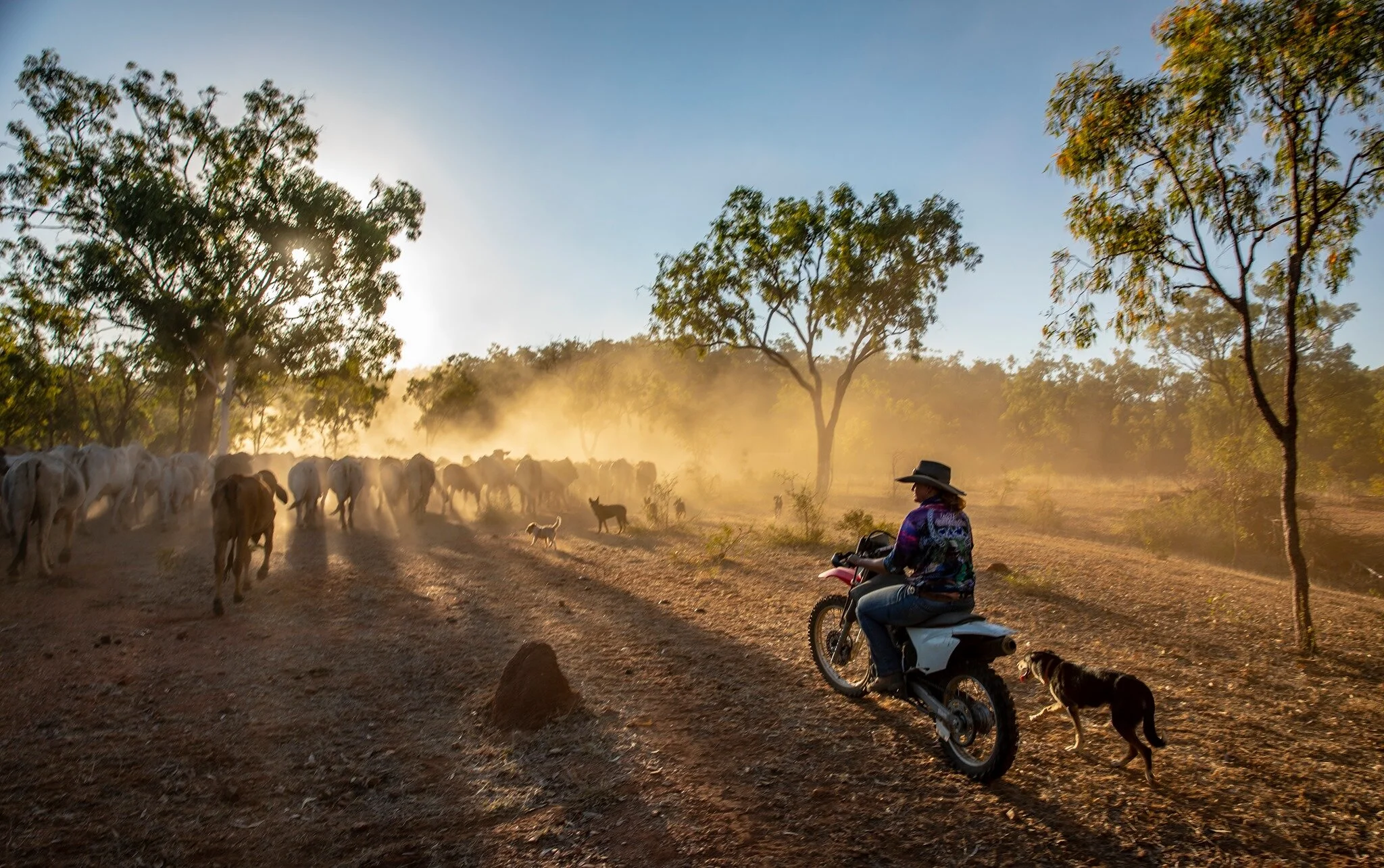 gilberton outback retreat experience.jpg