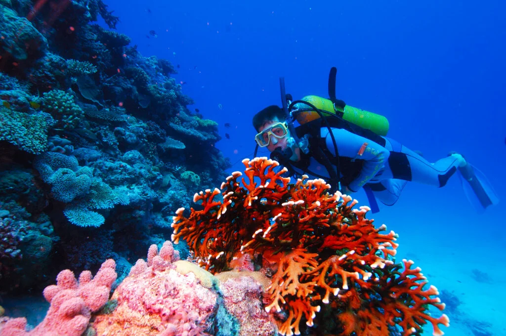 adrenalin dive 1.jpg