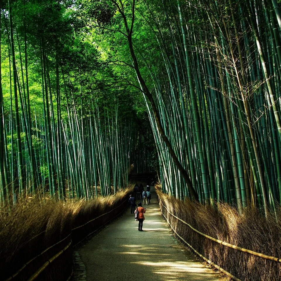 nakesendo walking tile final.jpg