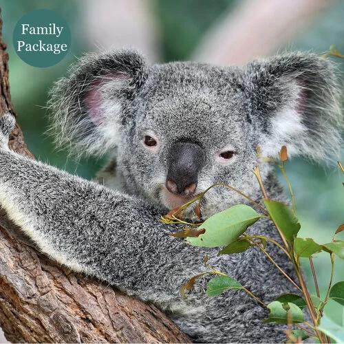 Kangaroo Island Easter Unwind
