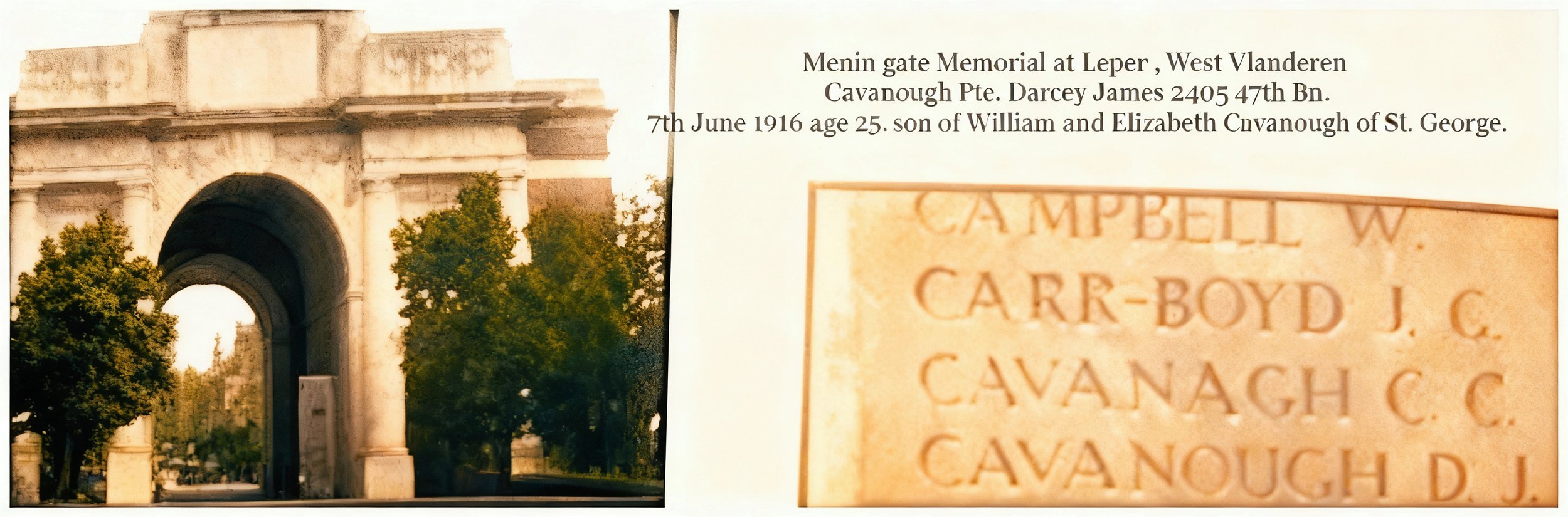 DARCY JAMES_Restored_Restored_Restored.jpeg