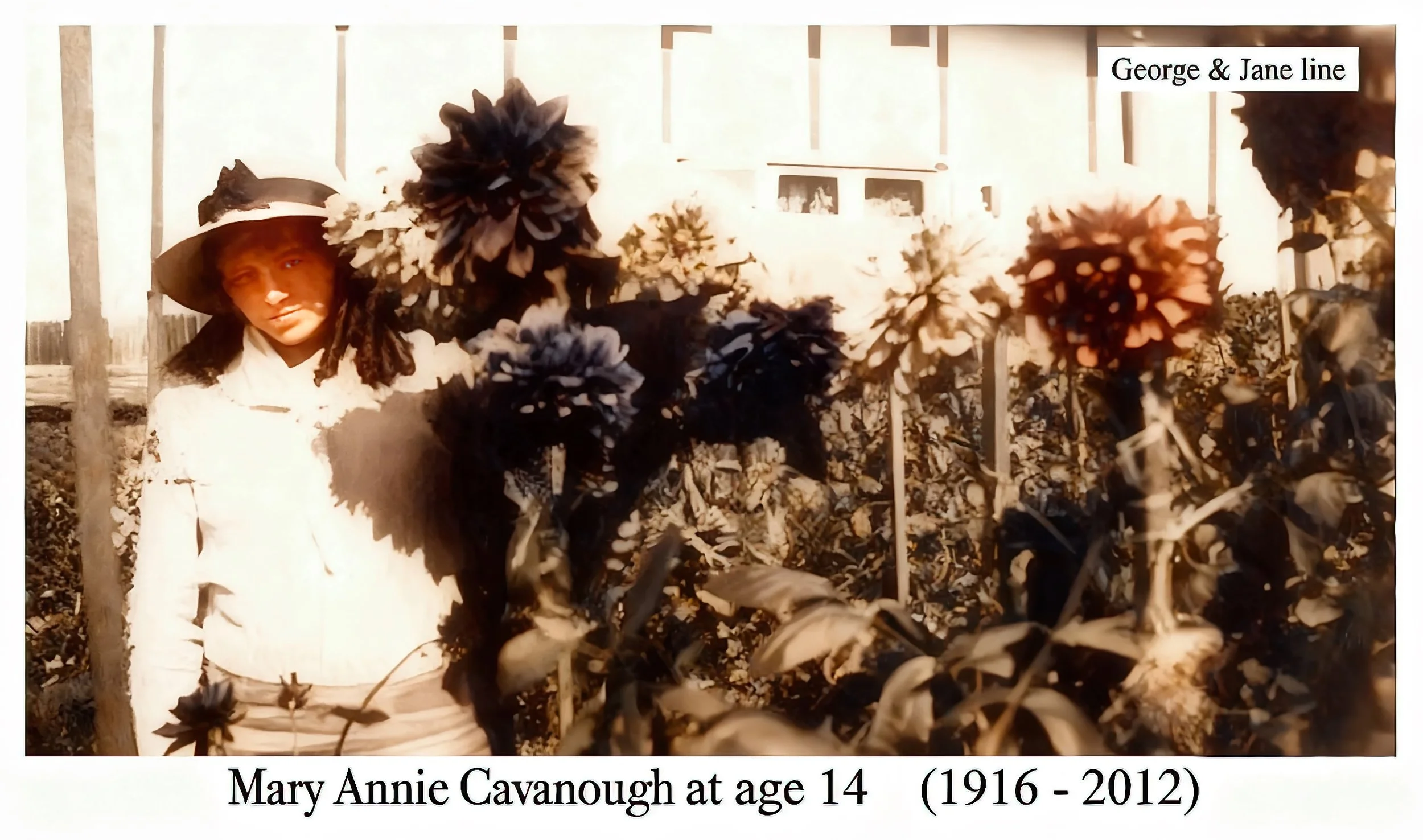 Mary Annie CAVANOUGH was born on 30 Oct 1916 in Emu Plains, Nsw. Died on 19 Apr 2012 in Nepean Hospital, Penrith, Nsw at age 95. Lived at 33 Allawah St, Blacktown and was a member of O.C.F. Mary married Lewis Wellsley RUSSELL on 13 Jan 1940 in St Pat