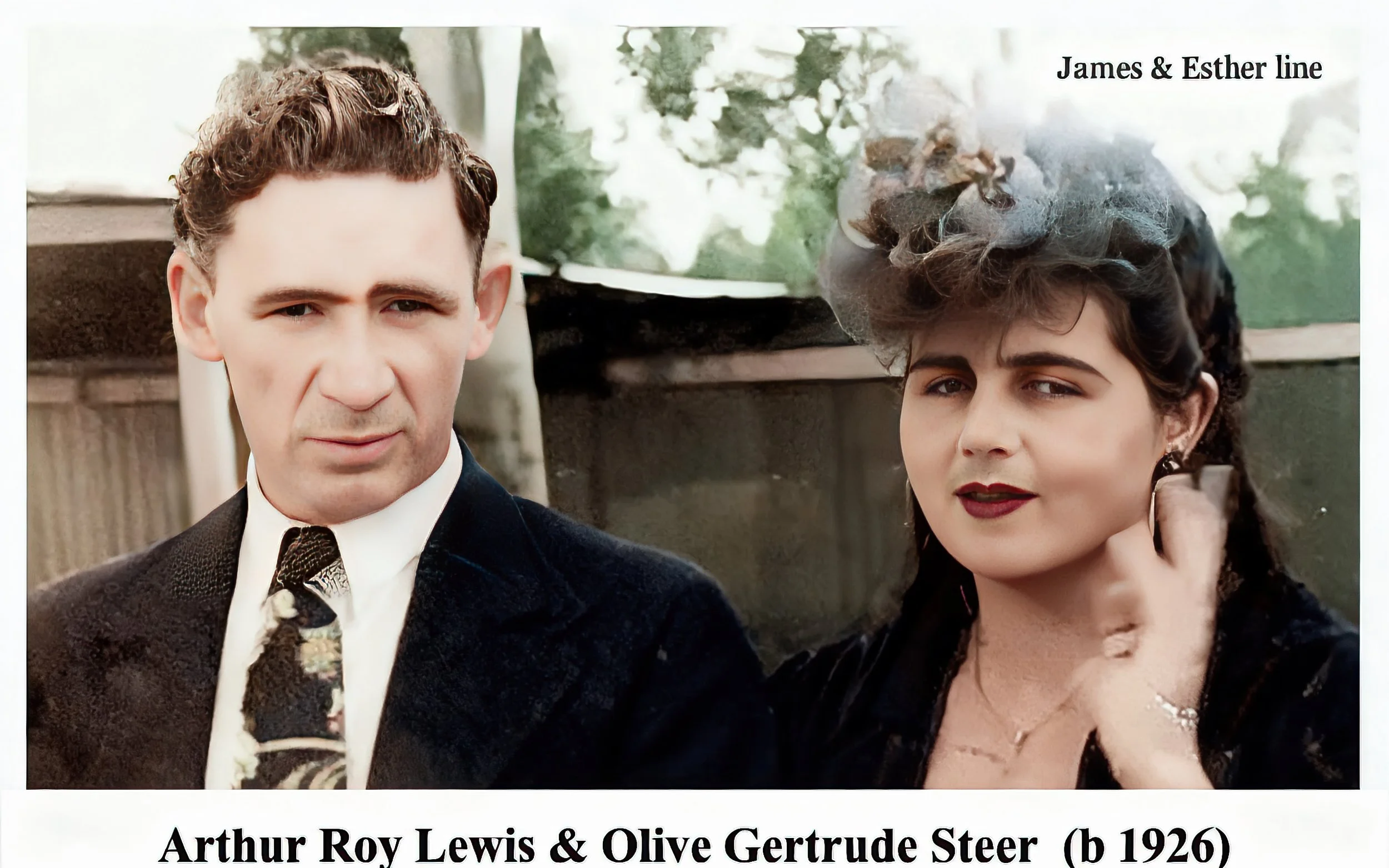 OLIVE STEER_Restored_Restored.jpeg