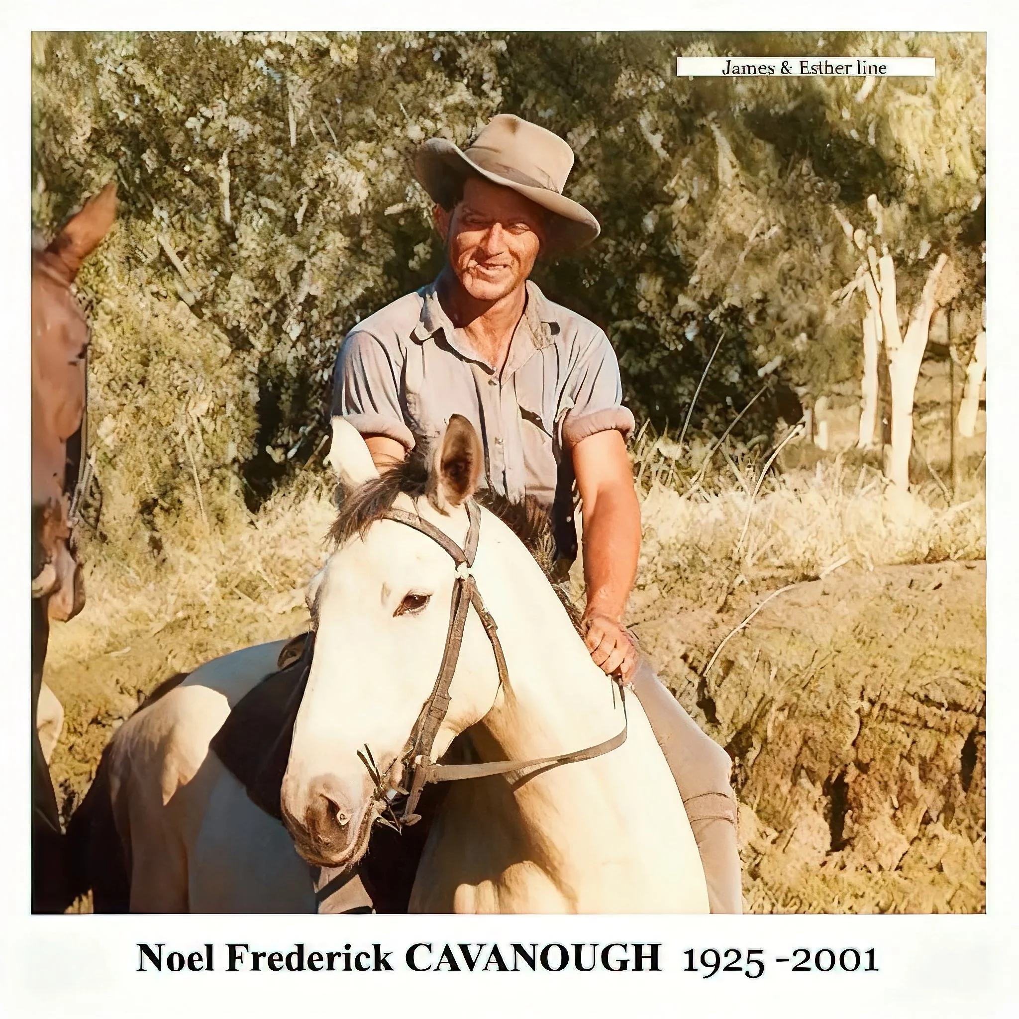  Noel Frederick CAVANOUGH was born on 27 Jun 1925 in Augathella, Qld, Australia, died on 3 Dec 2001 in Norman Park, Qld, Au at age 76, and was buried in Lutwyche Cemetery, Brisbane, Qld. His funeral was held on 5 Dec 2001. He worked on the railways. 