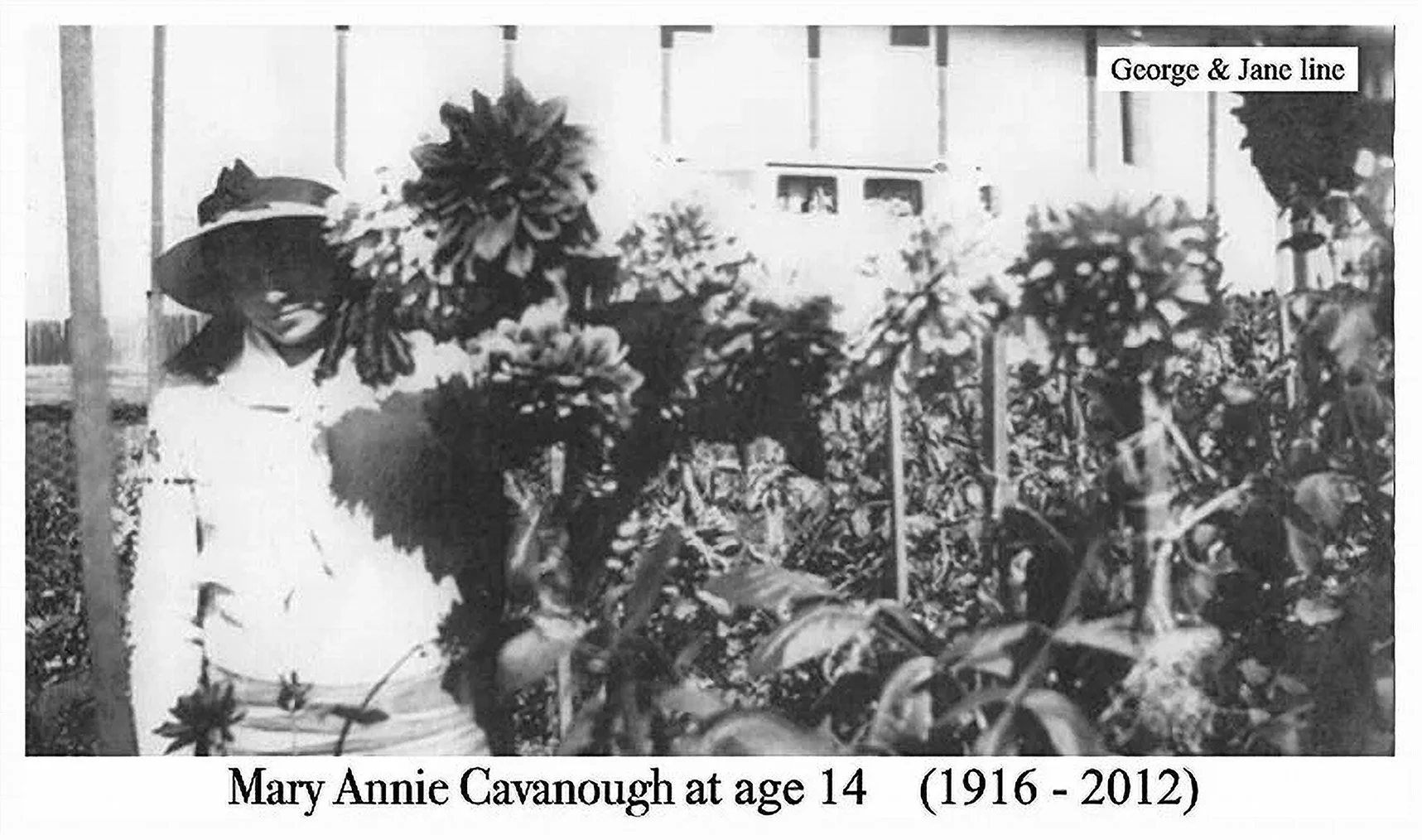 -Mary Annie CAVANOUGH was born on 30 Oct 1916 in Emu Plains, Nsw.

Died on 19 Apr 2012 in Nepean Hospital, Penrith, Nsw at age 95. Lived at 33 Allawah St, Blacktown and was a member of O.C.F. Mary married Lewis Wellsley RUSSELL on 13 Jan 1940 in St P
