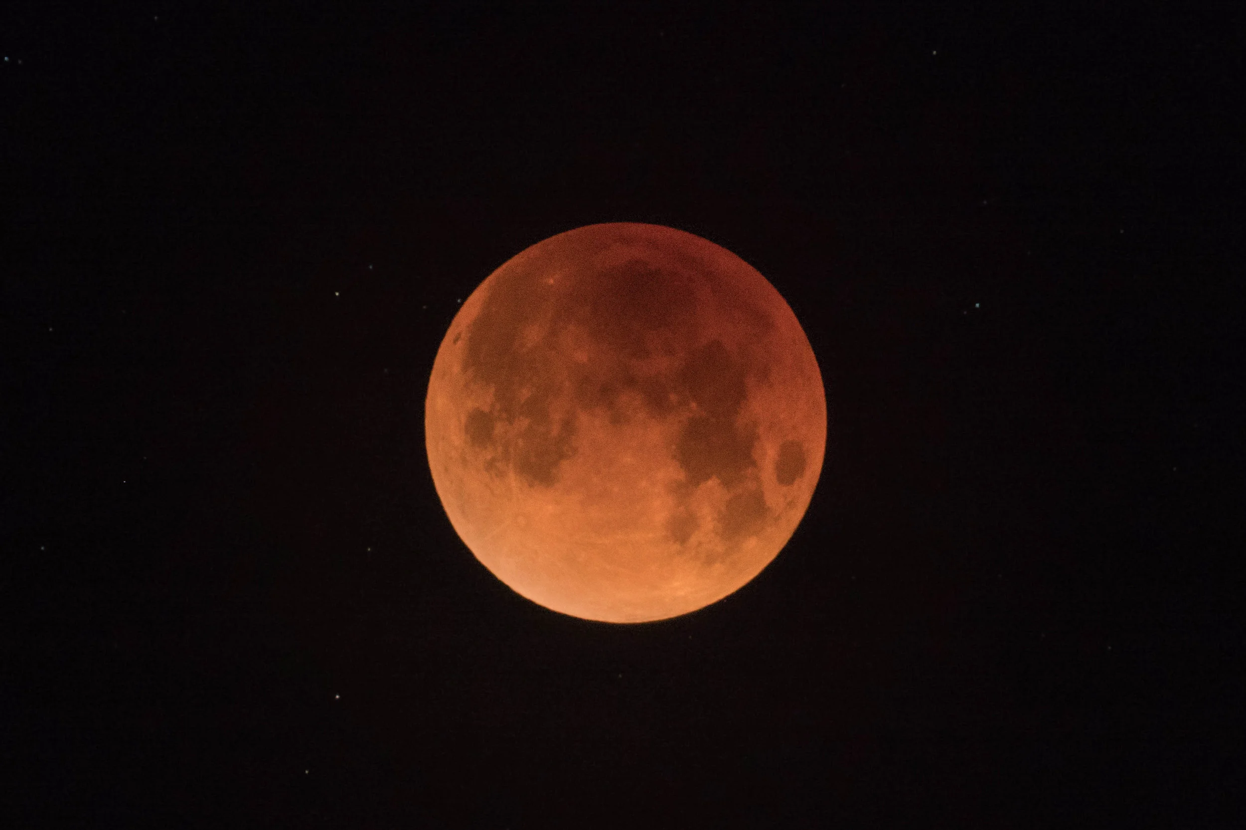 Giant Pink Moon Walkabout Clubs.jpg