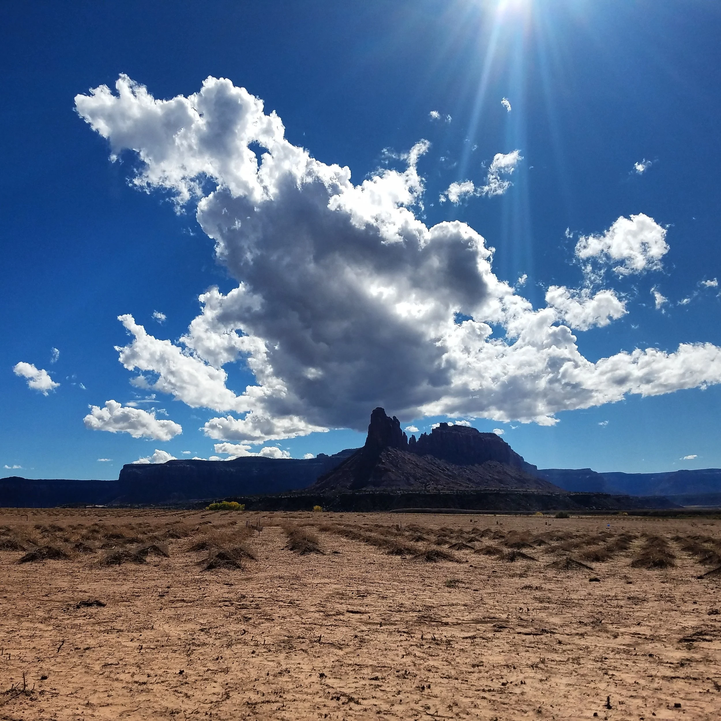 Photo from our CRC Restore Project in Canyonlands NP