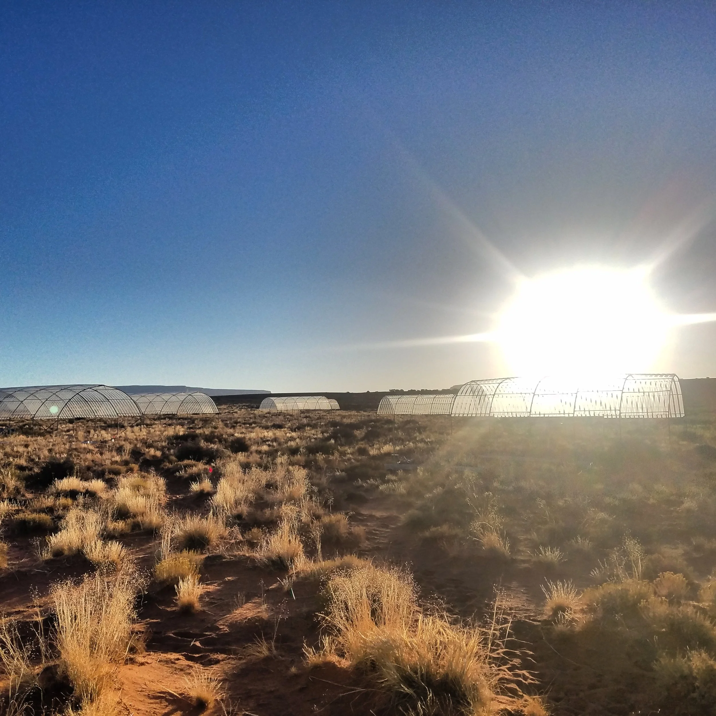 Photo from the EDGE project in Needles district of Canyonlands NP