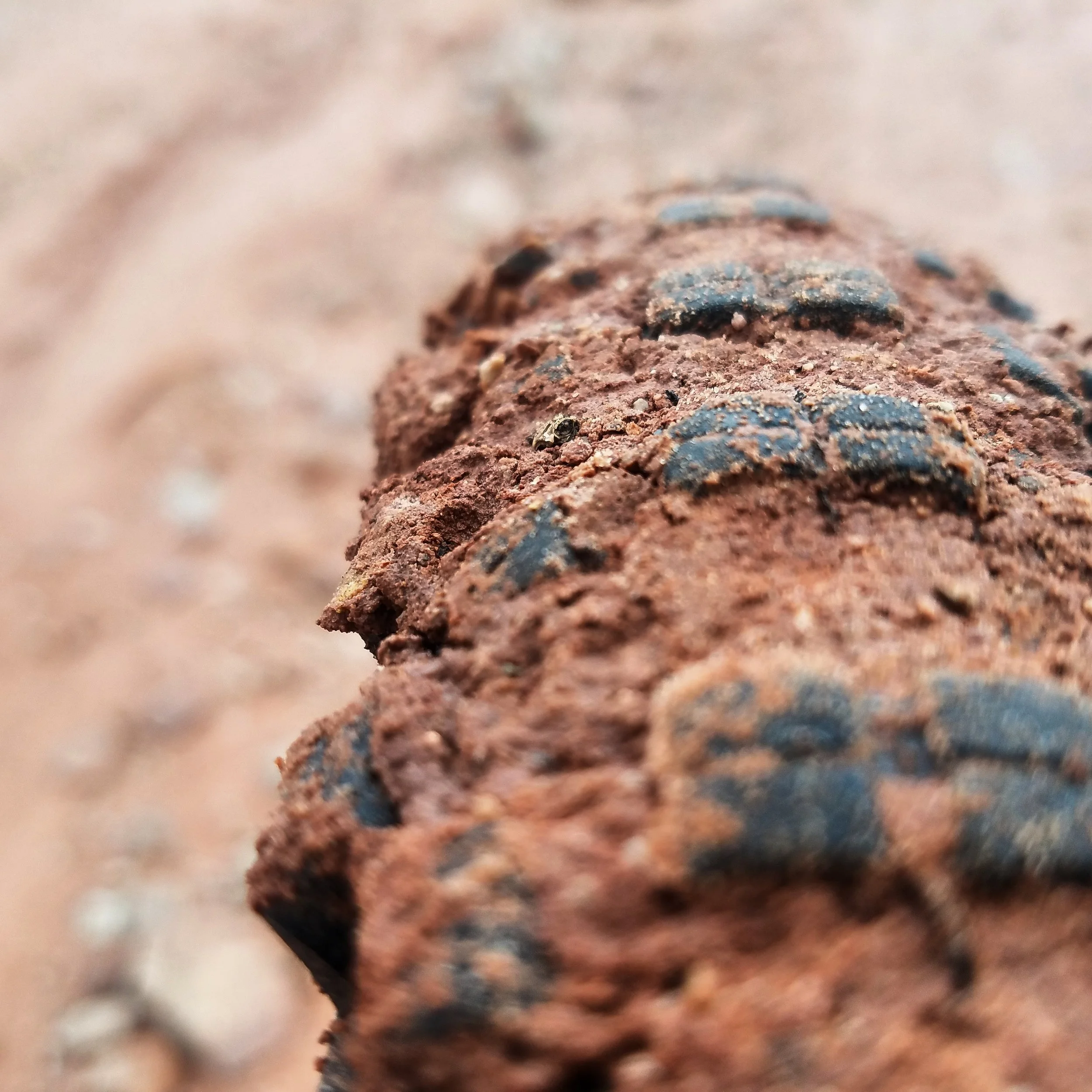Dirty, Dusty, and oh so lovely.