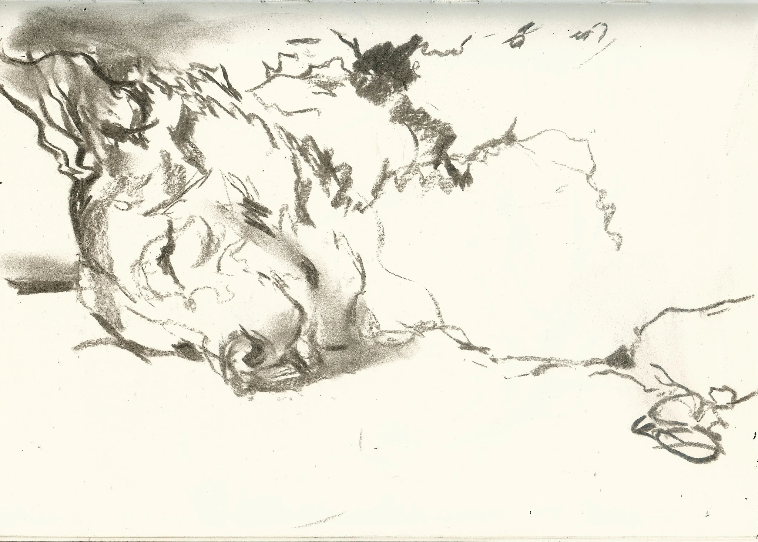 Richard Collins _drawing (1).jpg