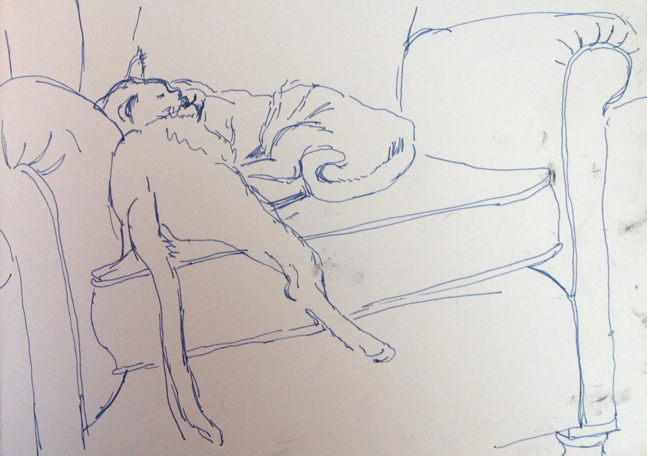 Richard Collins _drawing (15).jpg