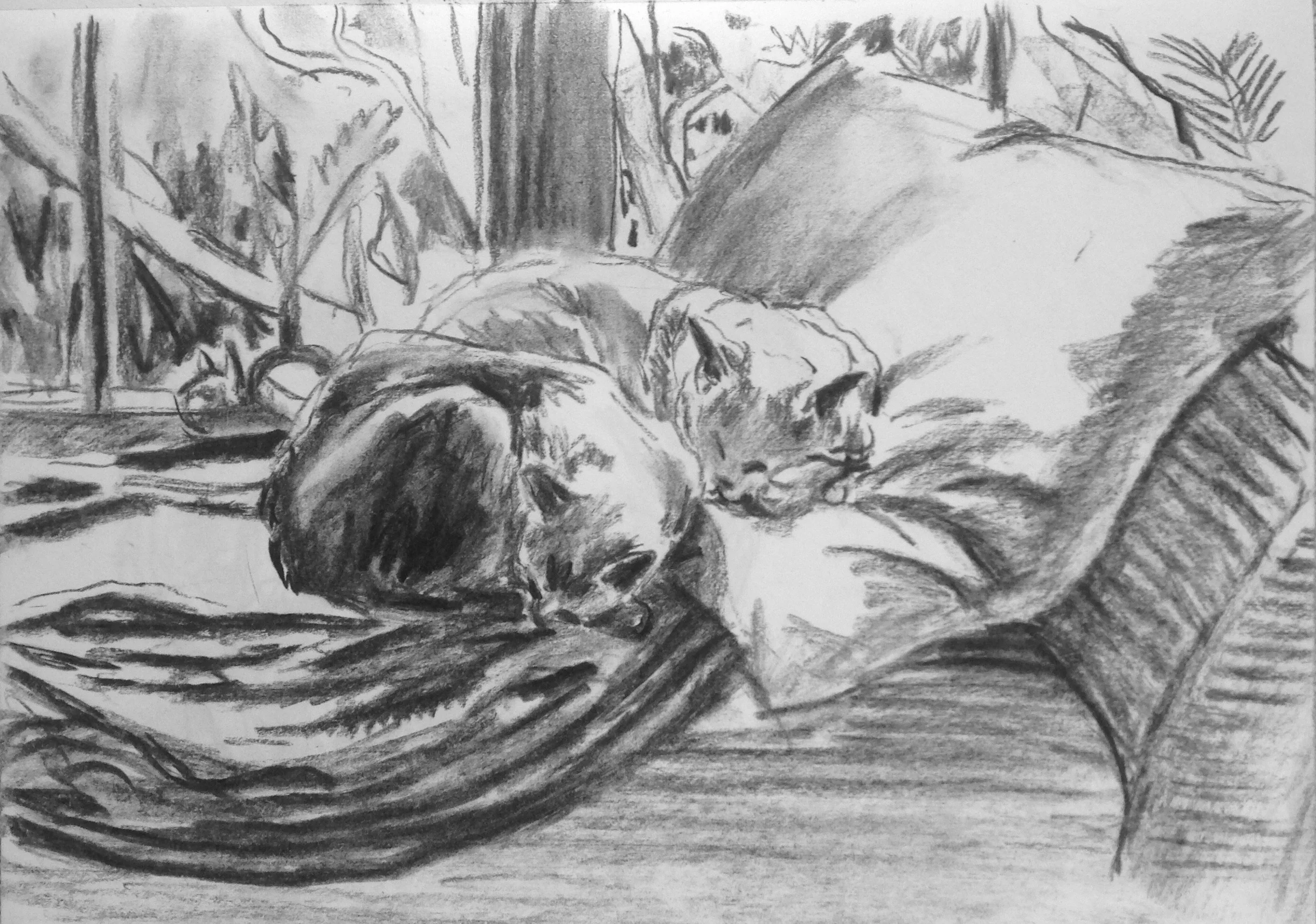 Richard Collins _drawing (25).jpg