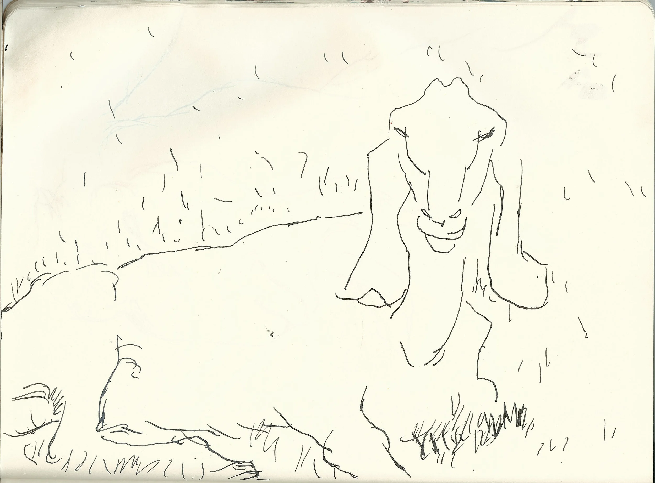 Richard Collins _drawing (10).jpg