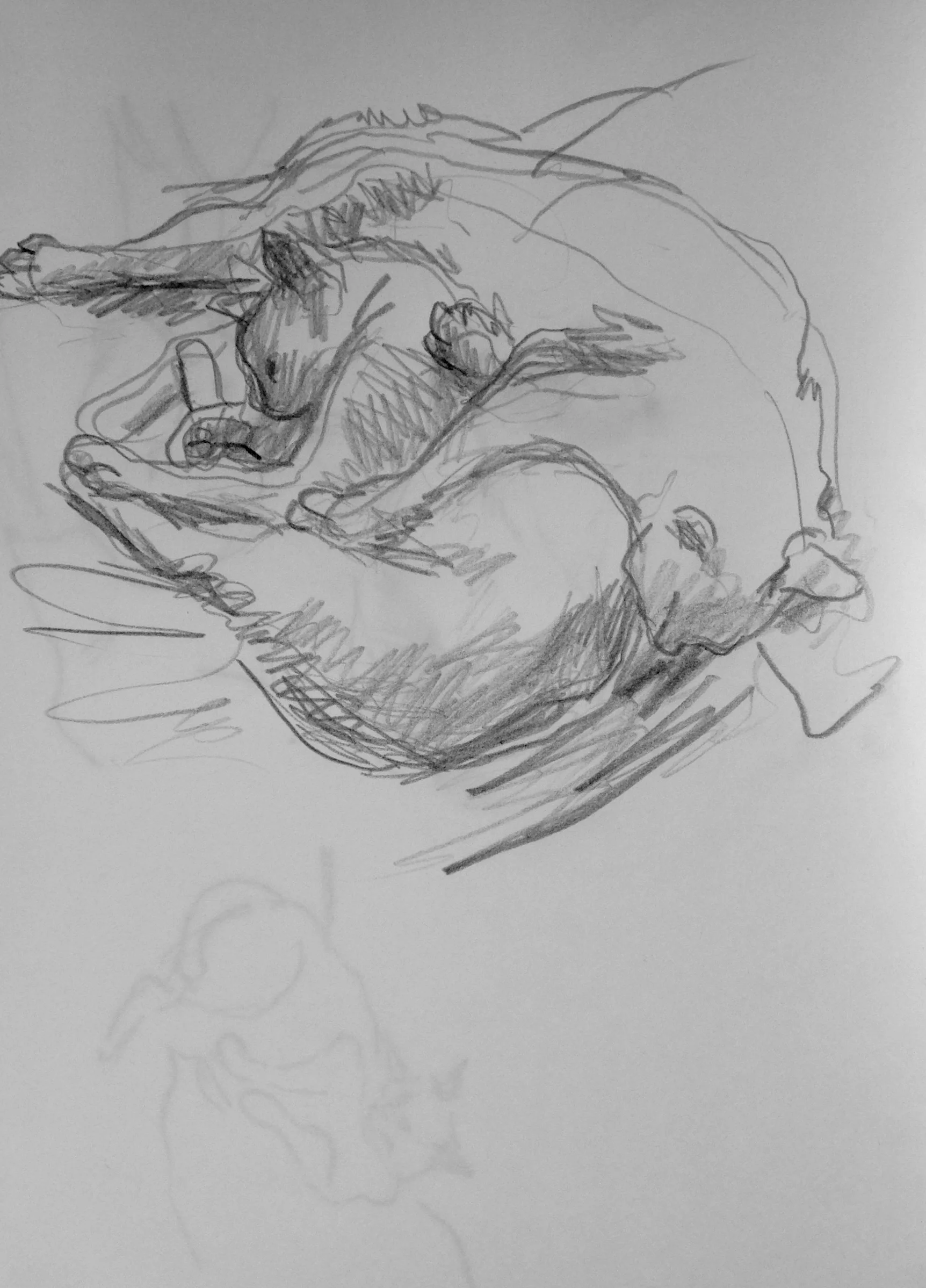 Richard Collins _drawing (26).jpg