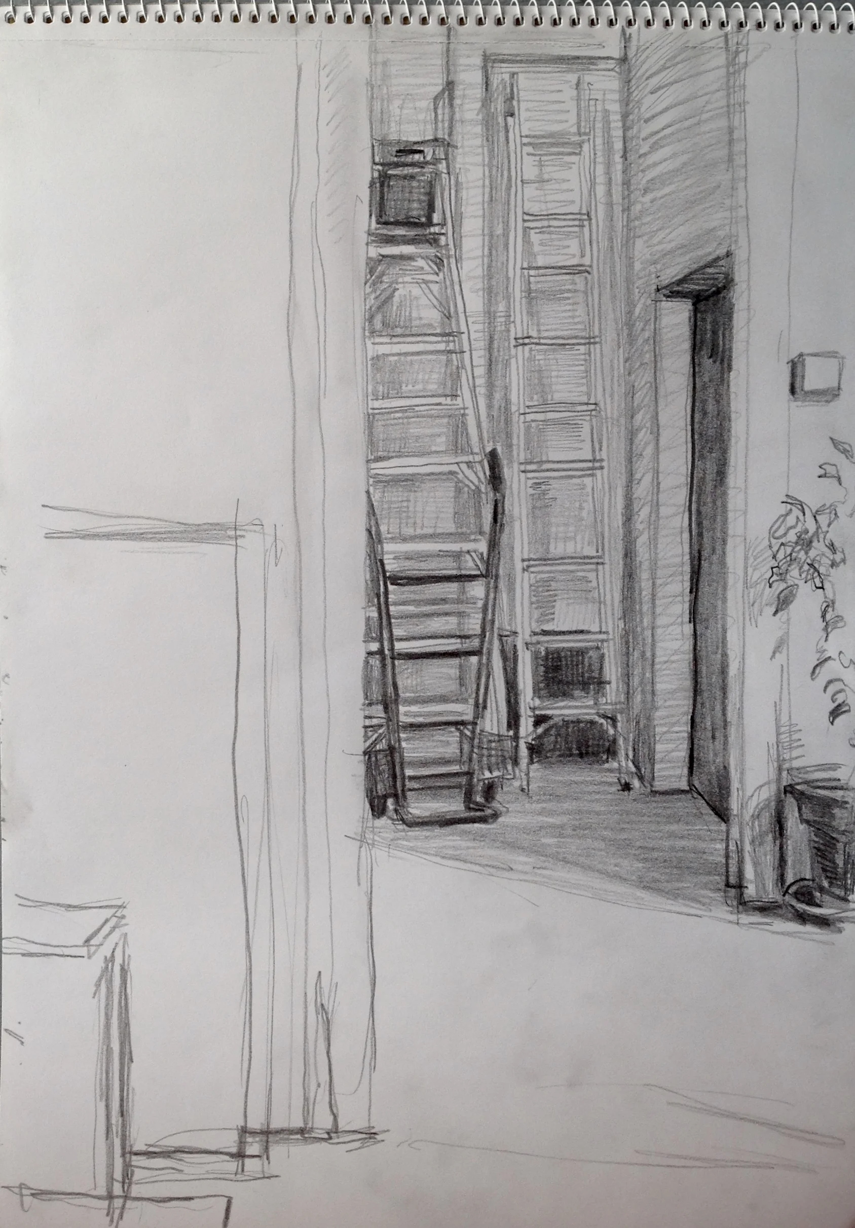 Richard Collins _drawing (30).jpg