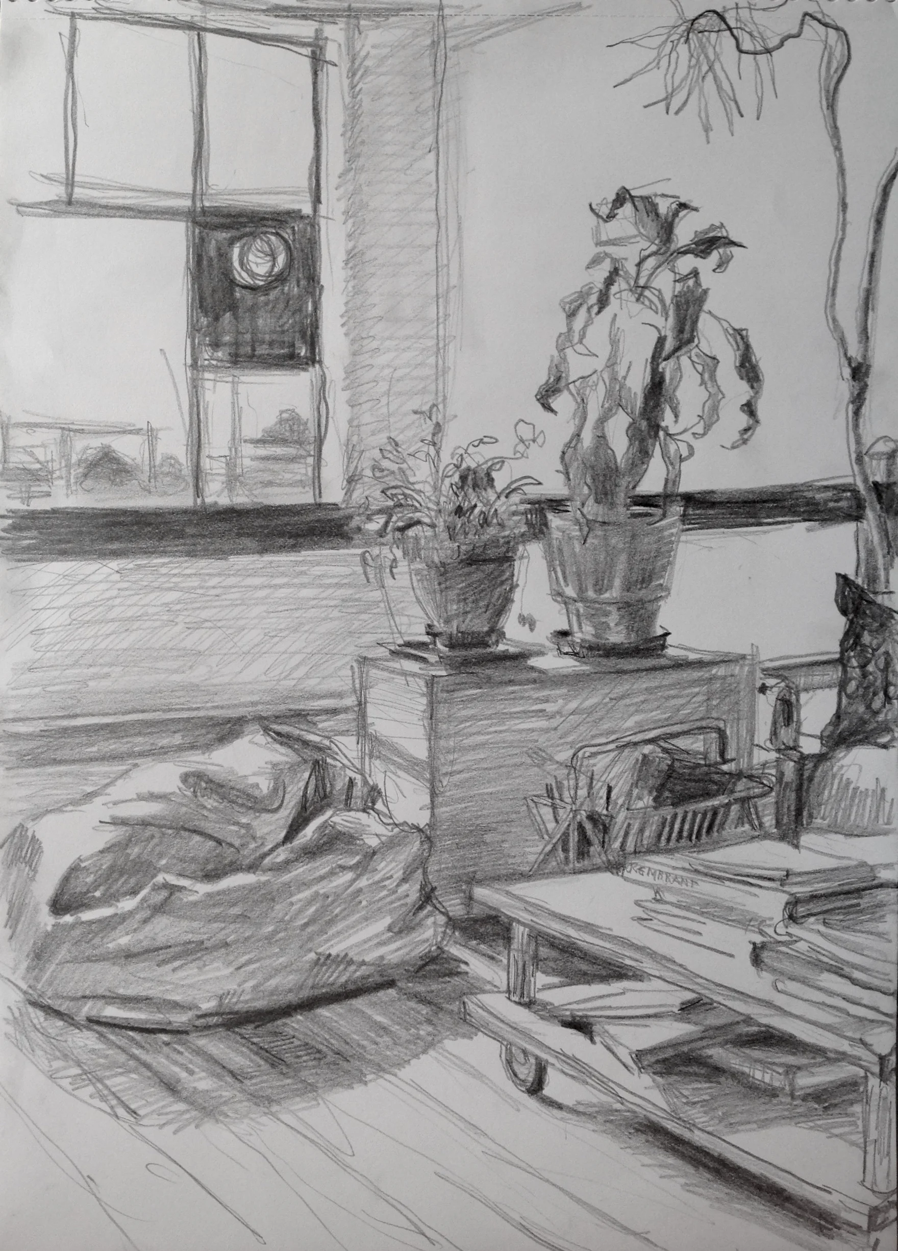 Richard Collins _drawing (31).jpg