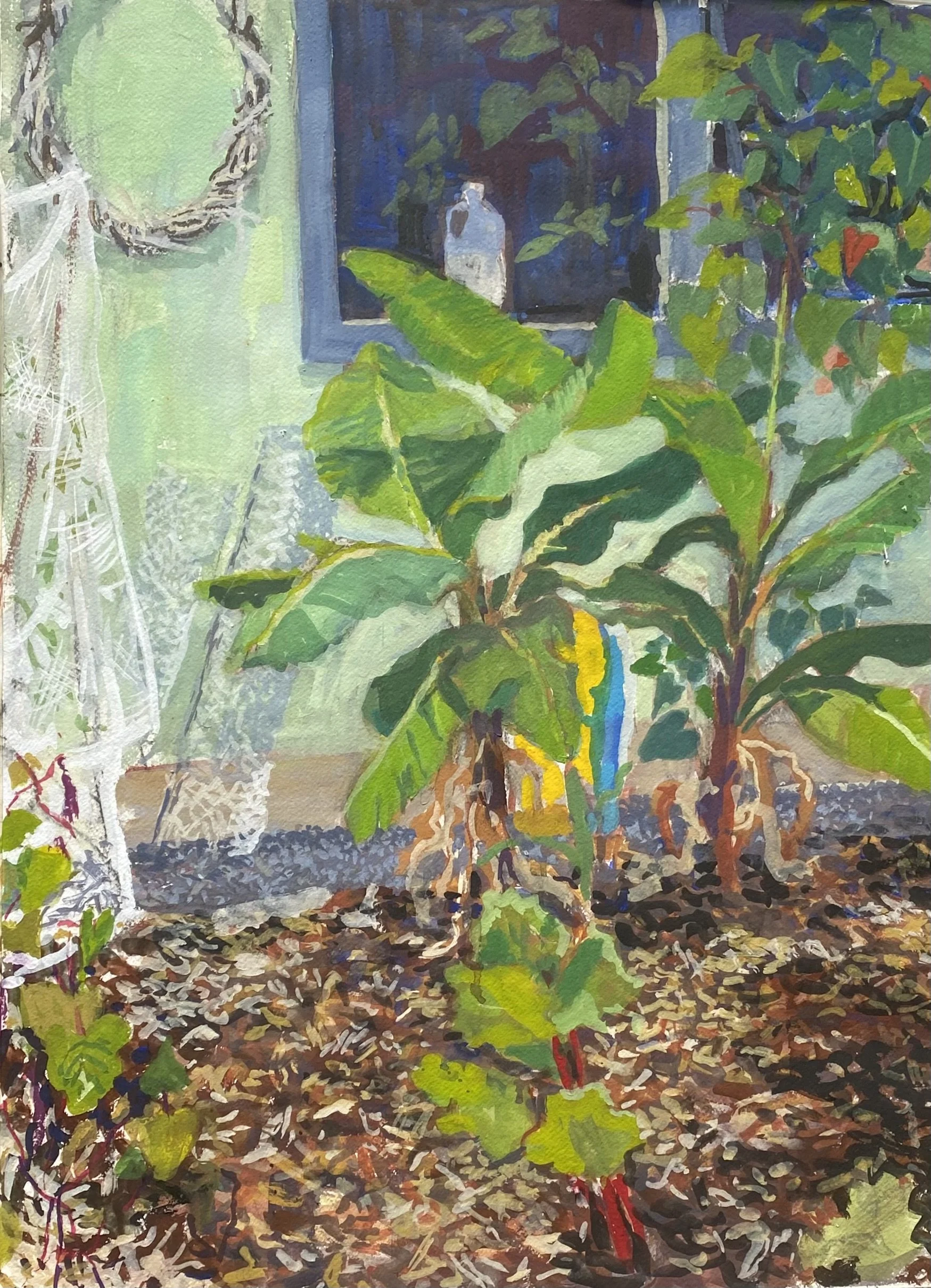 Banana Palms