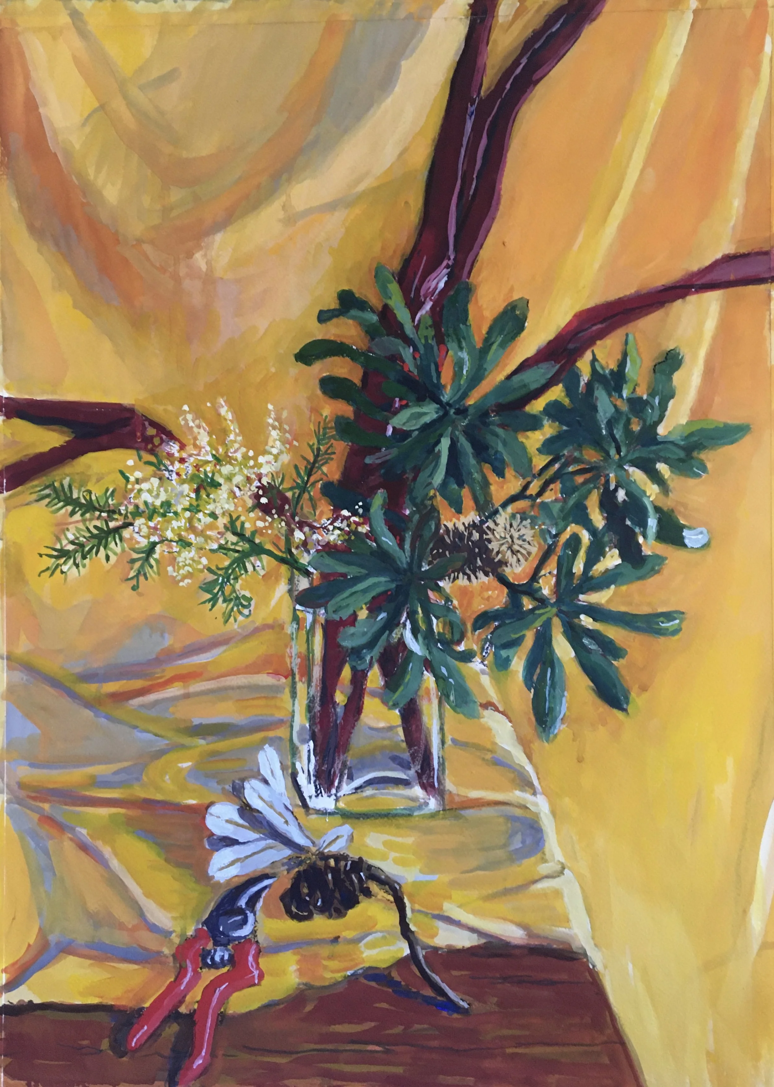Banksia leaves and sécateurs