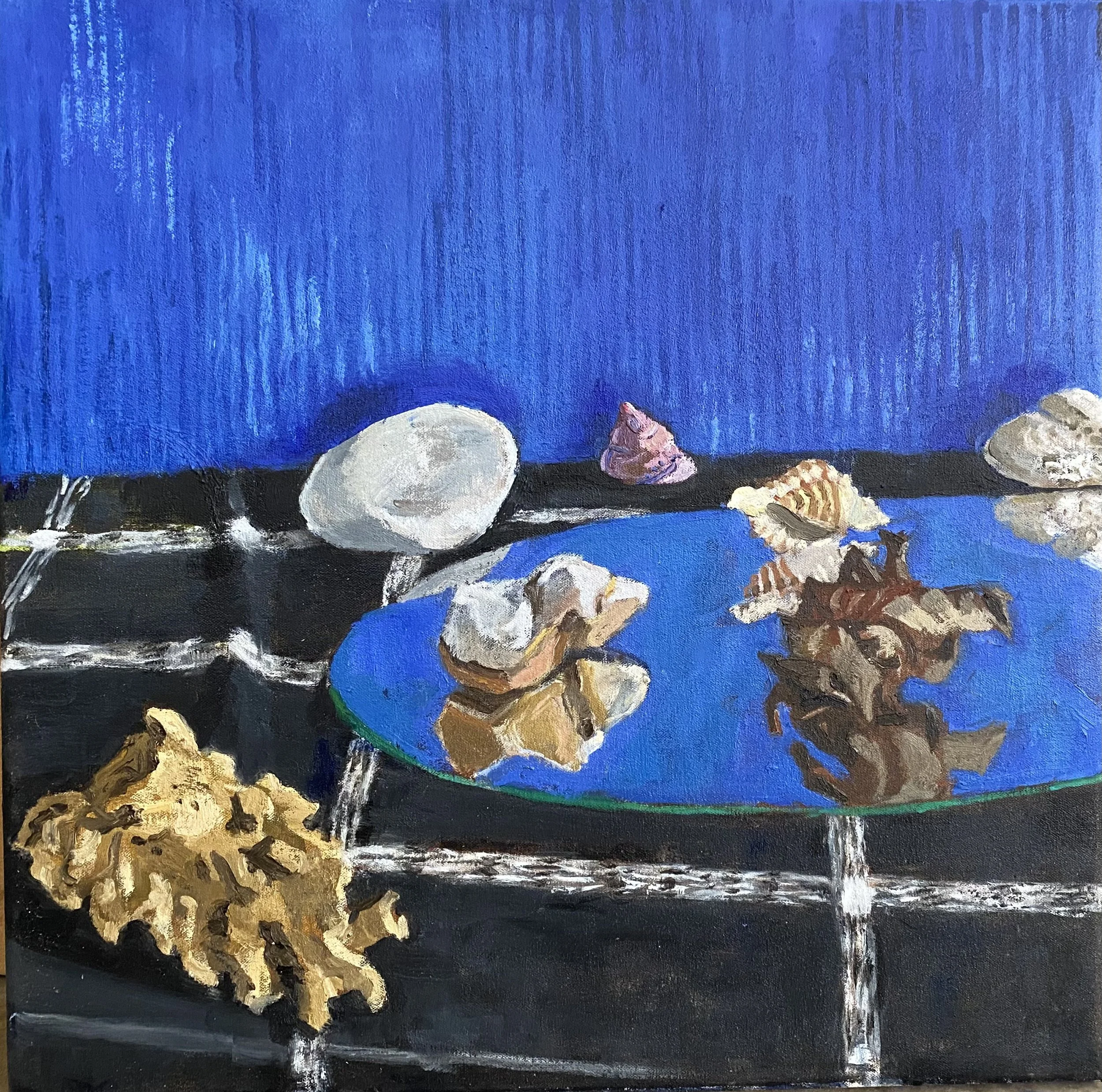 Shells and rocks