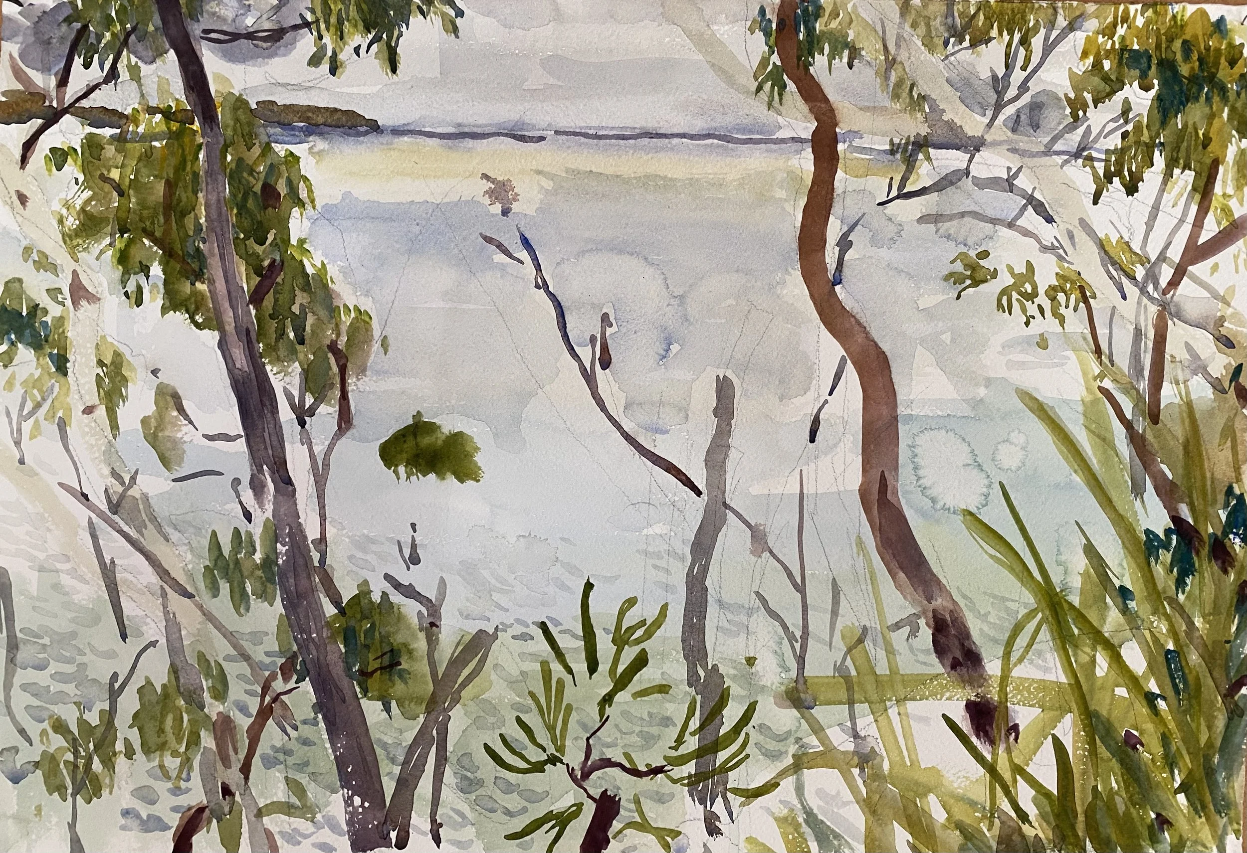 Through the trees, Bannister Head
