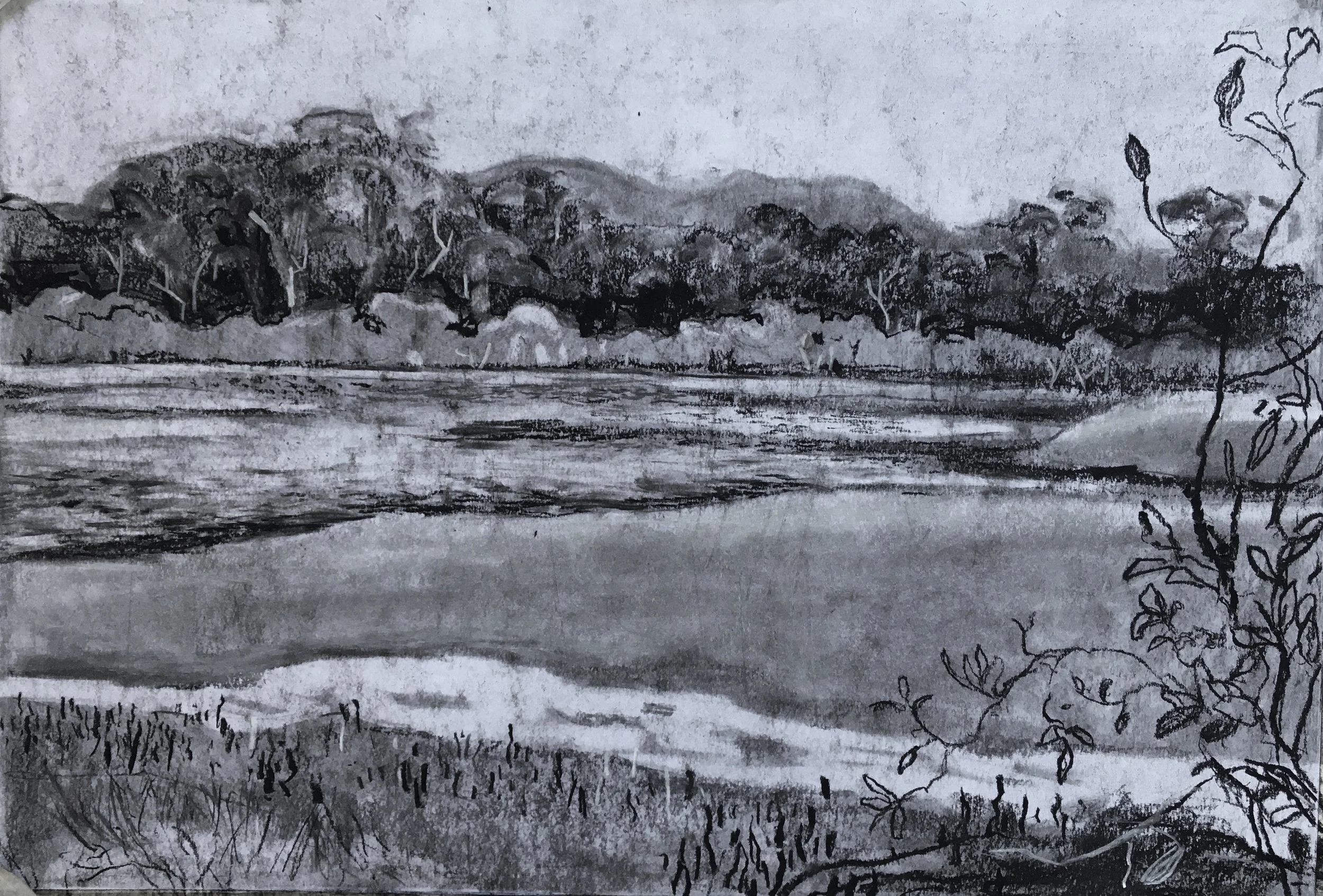 Coffs lagoon
