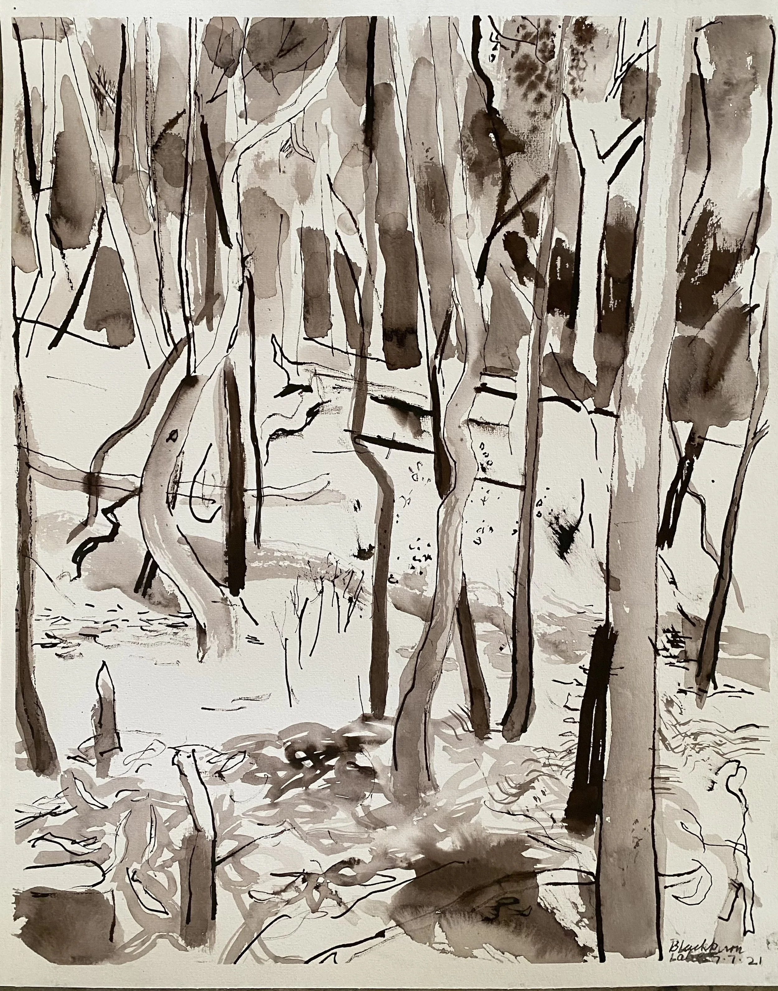 Blackburn reserve trees