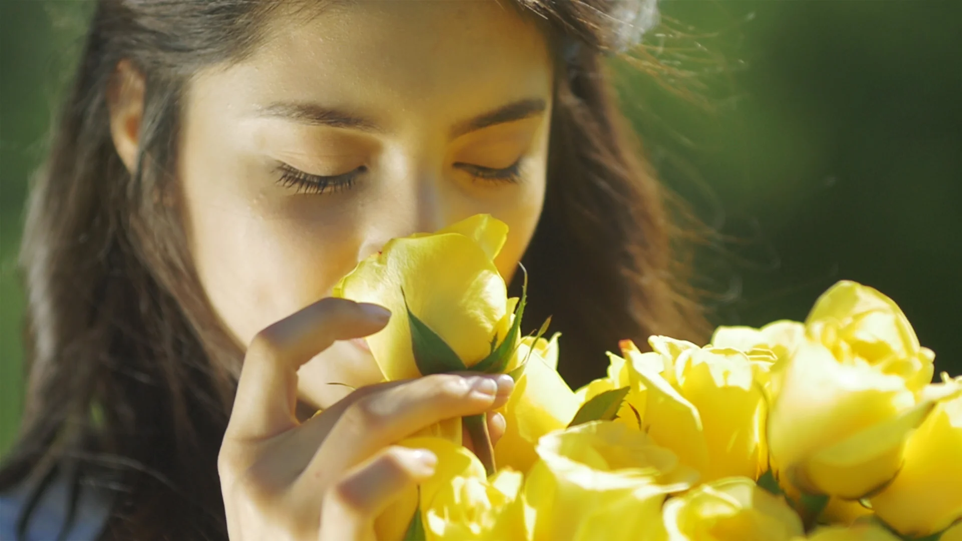 Sequence 01.Still001.jpg