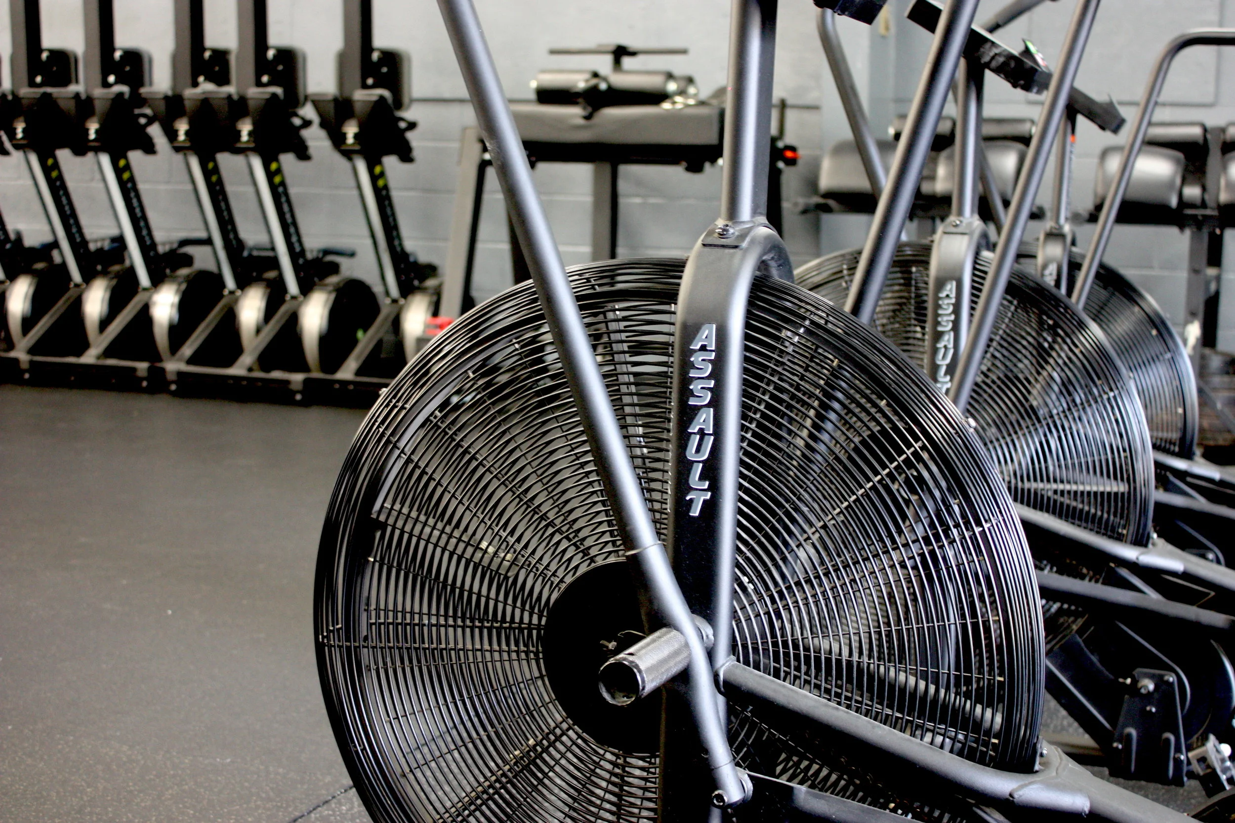 IMG_0429.JPG