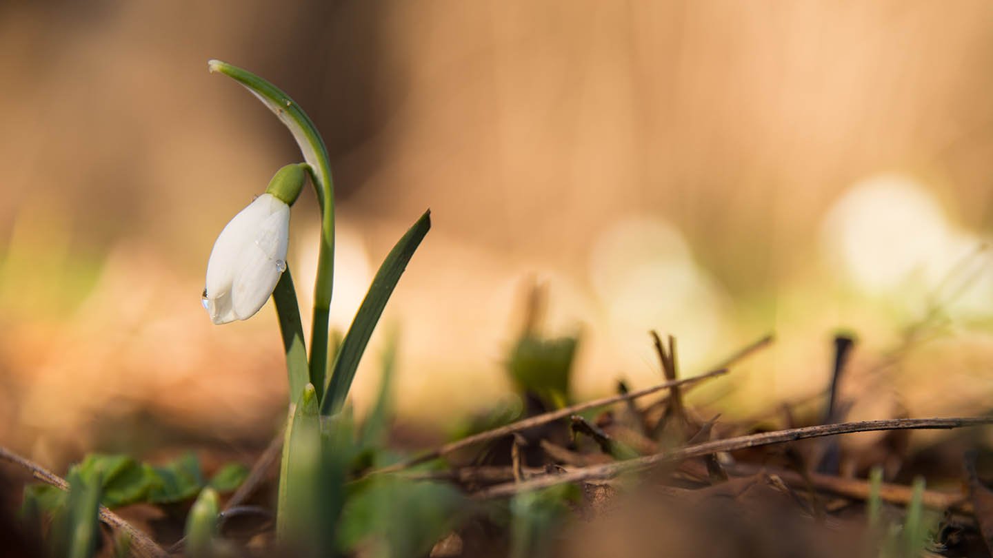 7 Purposeful Gospel Actions