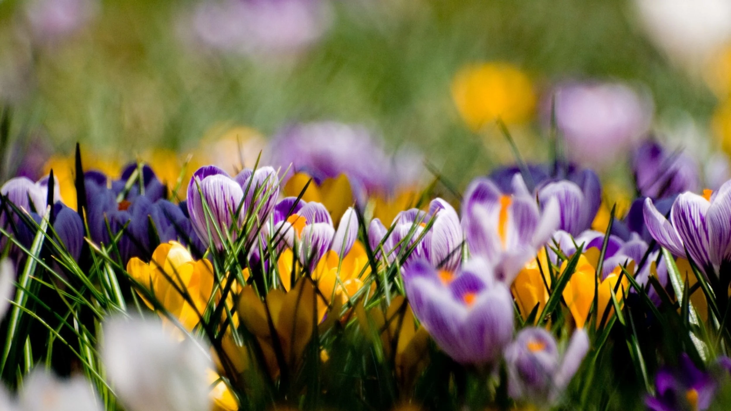 Life & Death Struggles: 9 Things God Still Wants You to Do
