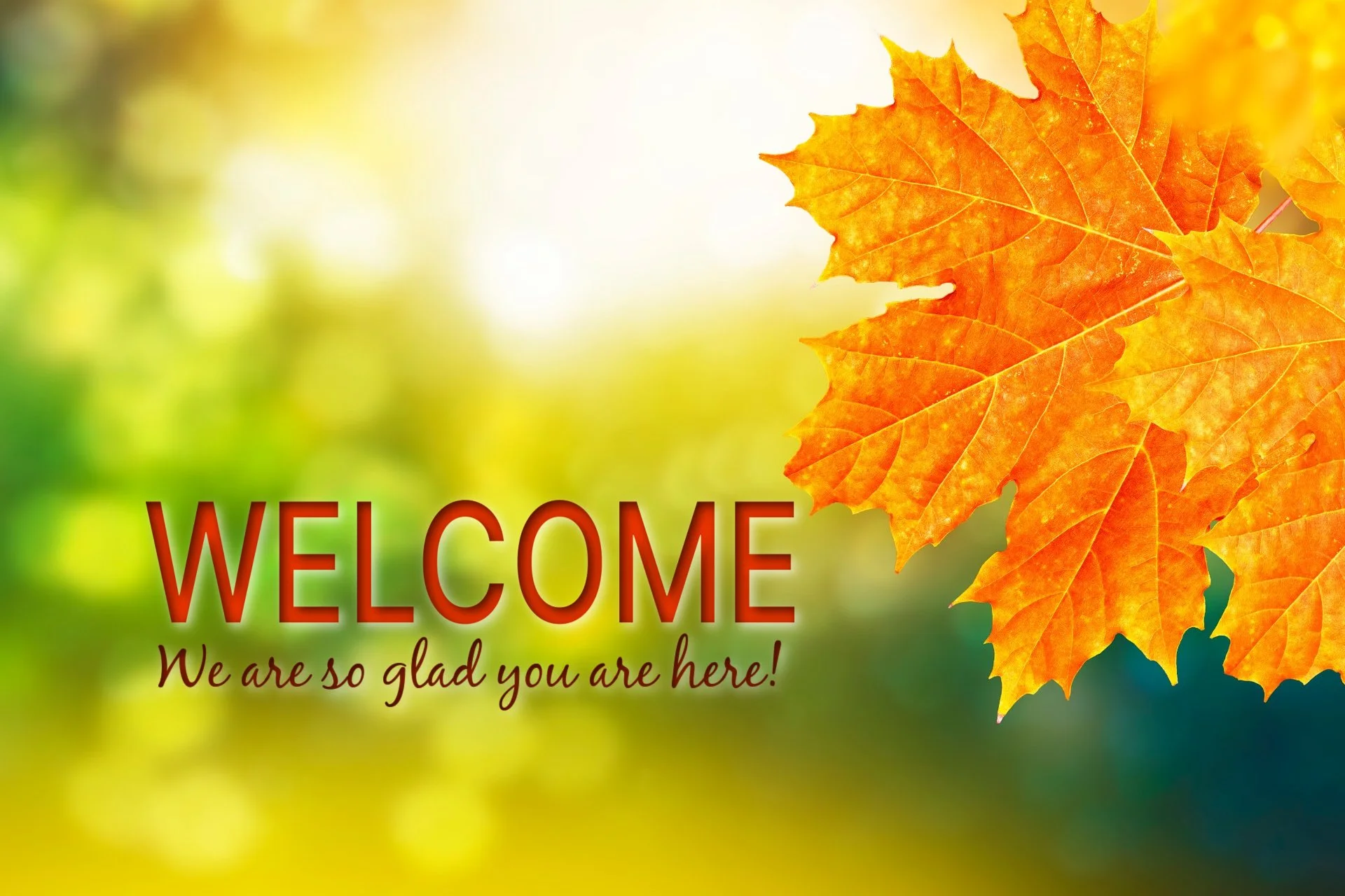 Fall Welcome