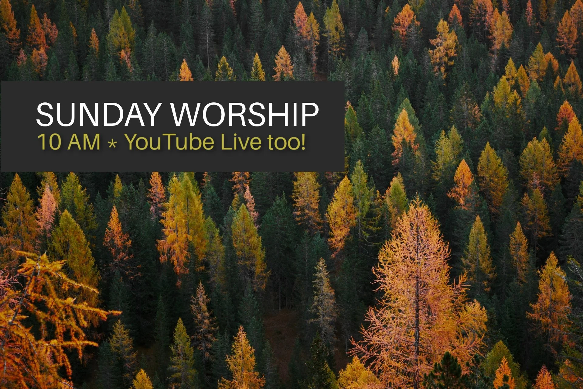 Fall Worship