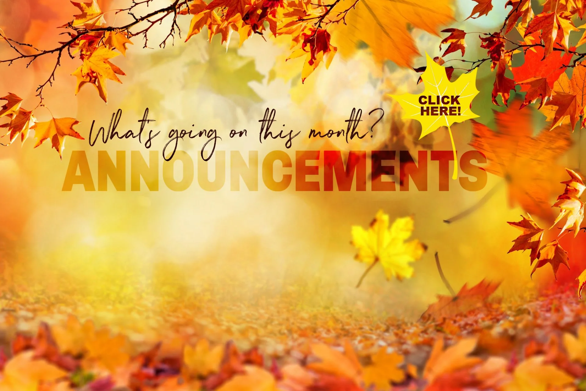Summer Announcements