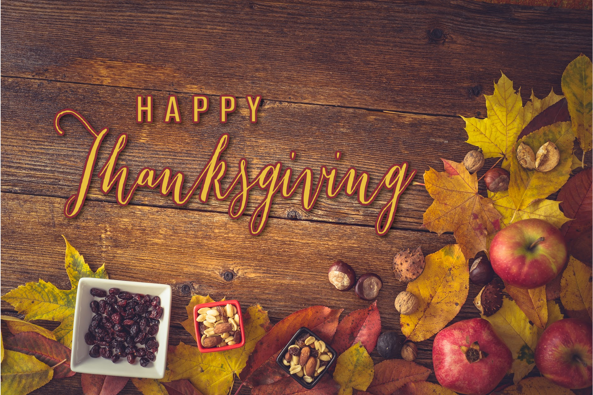 Happy Thanksgiving