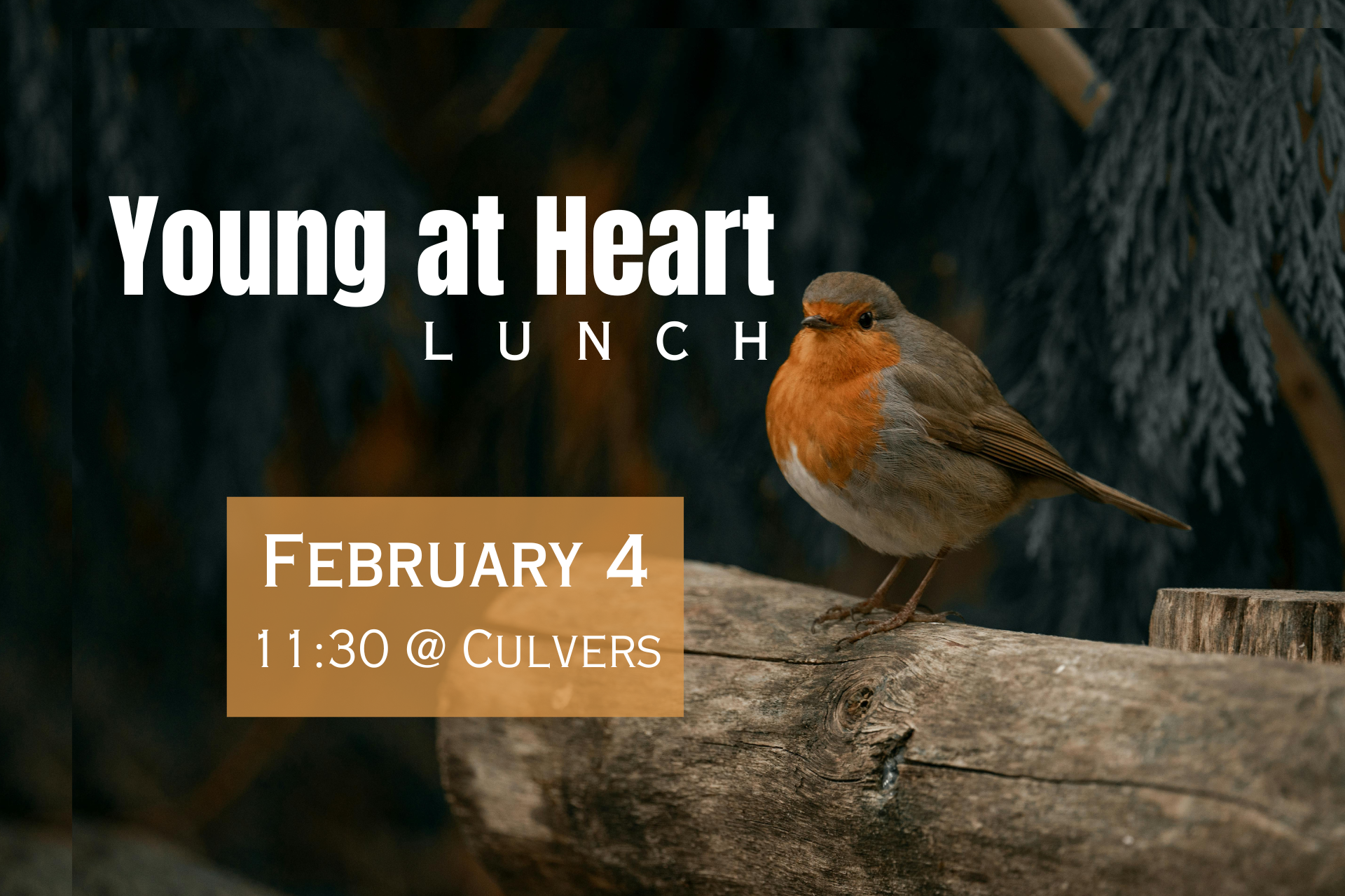 Young at Heart Lunch