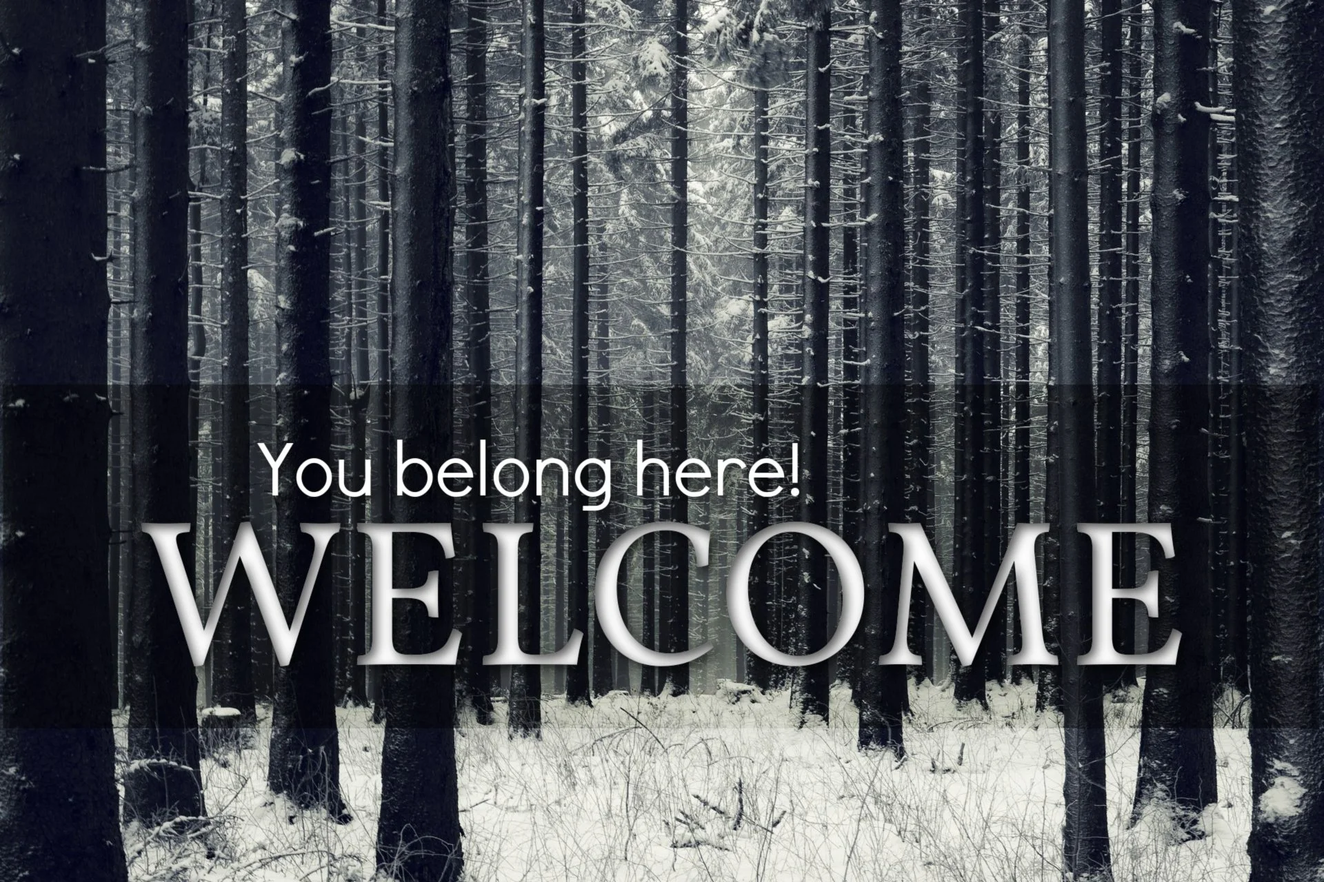Welcome
