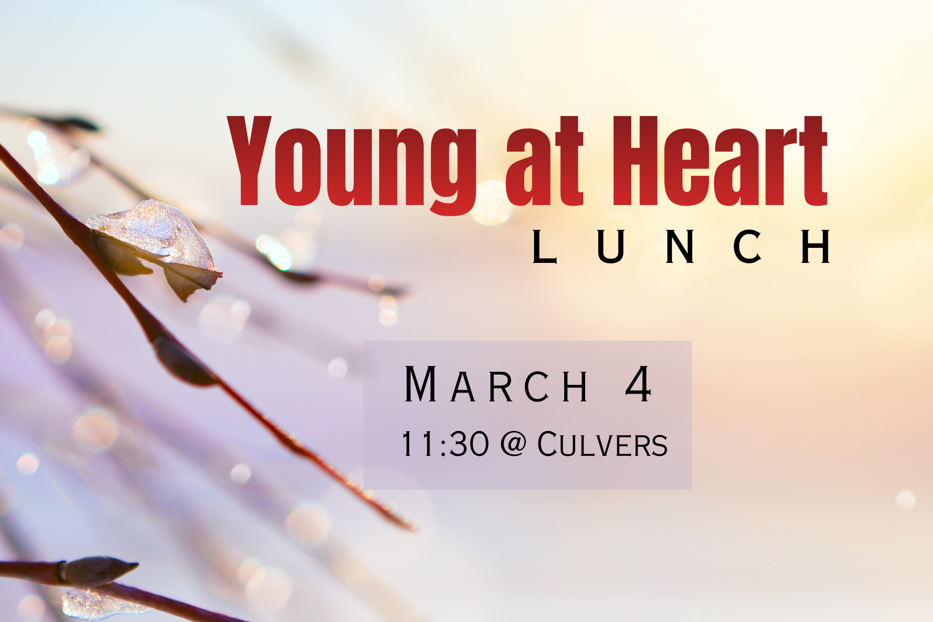 Young at Heart Lunch