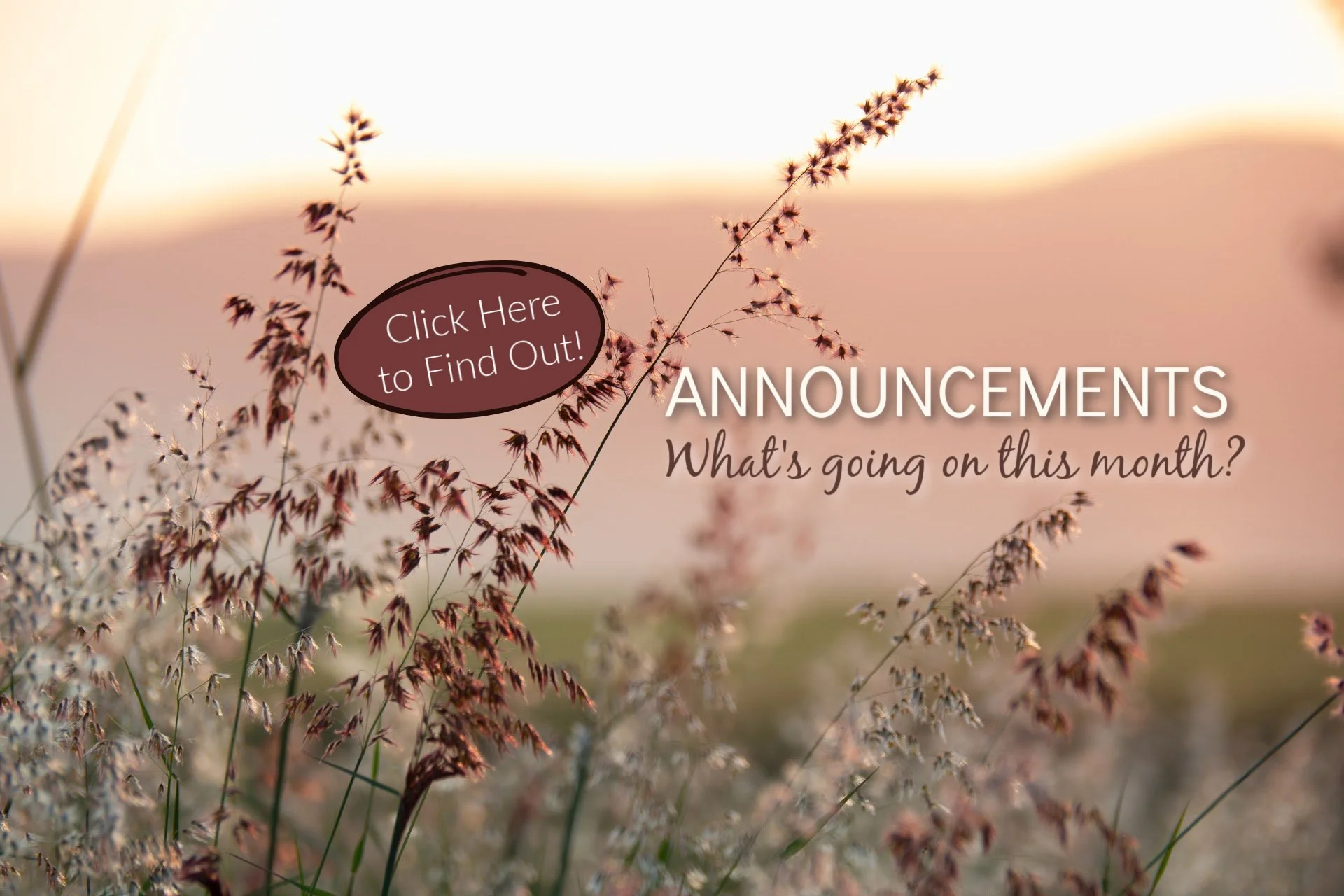 Spring Announcements