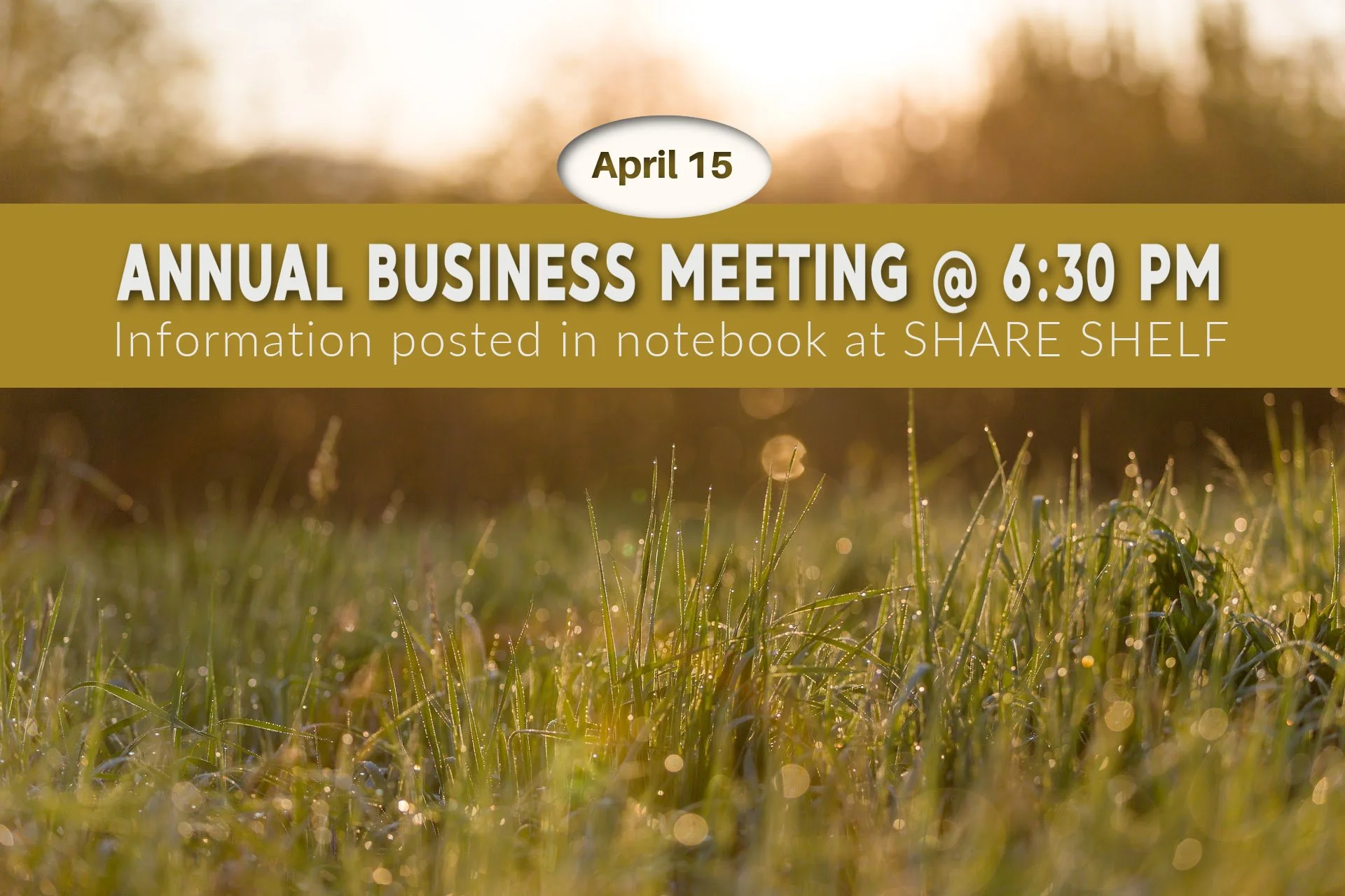 Annual Business Meeting